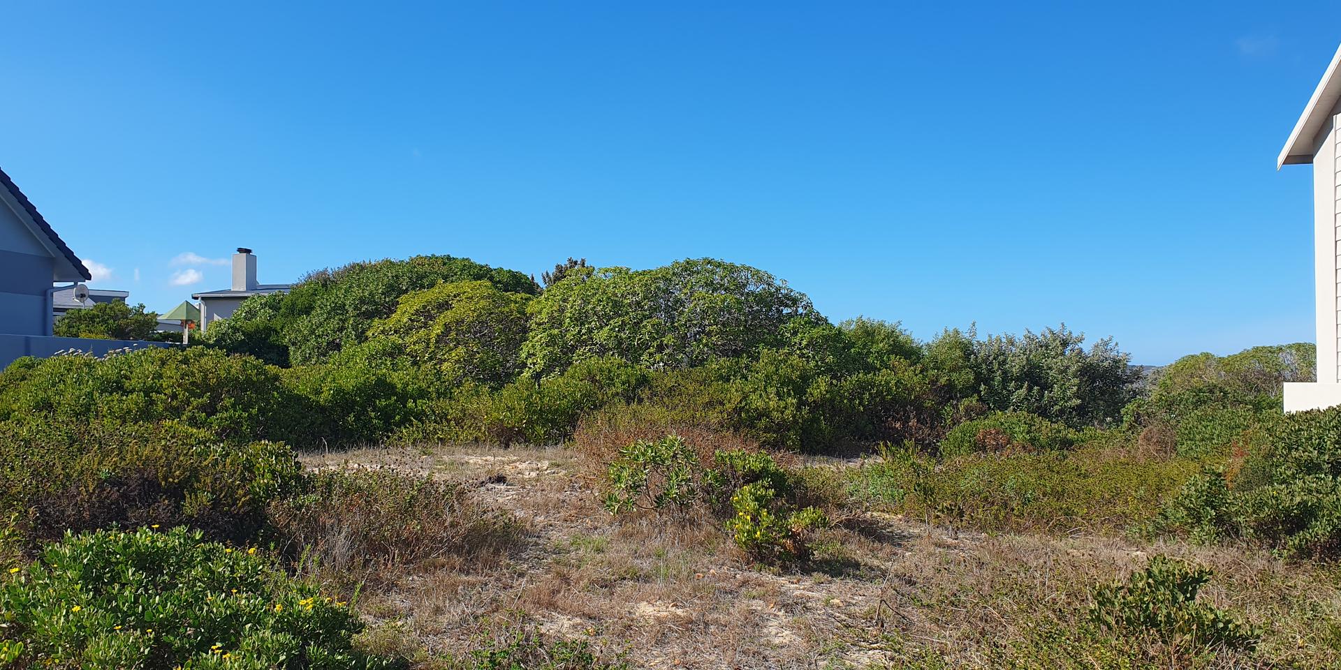 Image 3 of 6