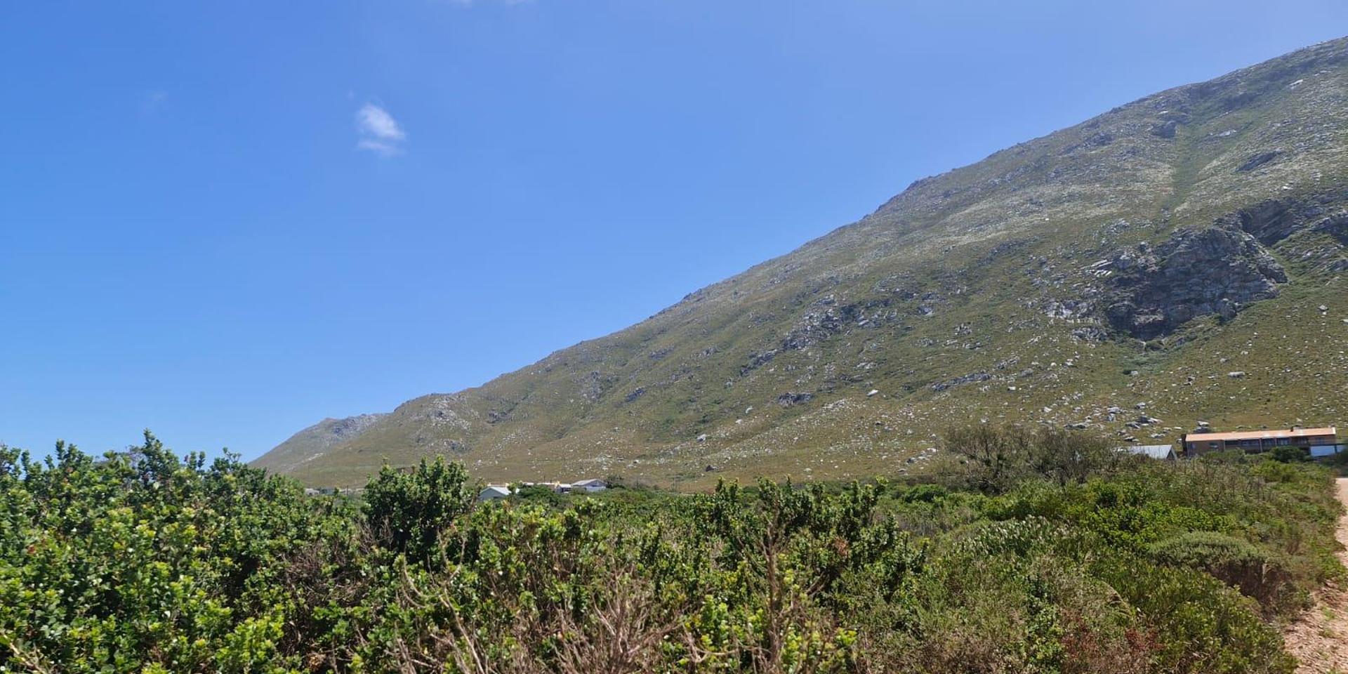 Image 5 of 6