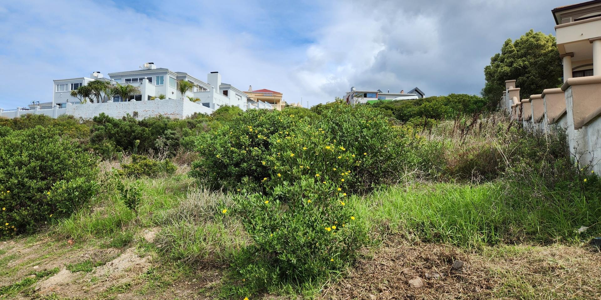 Image 2 of 6