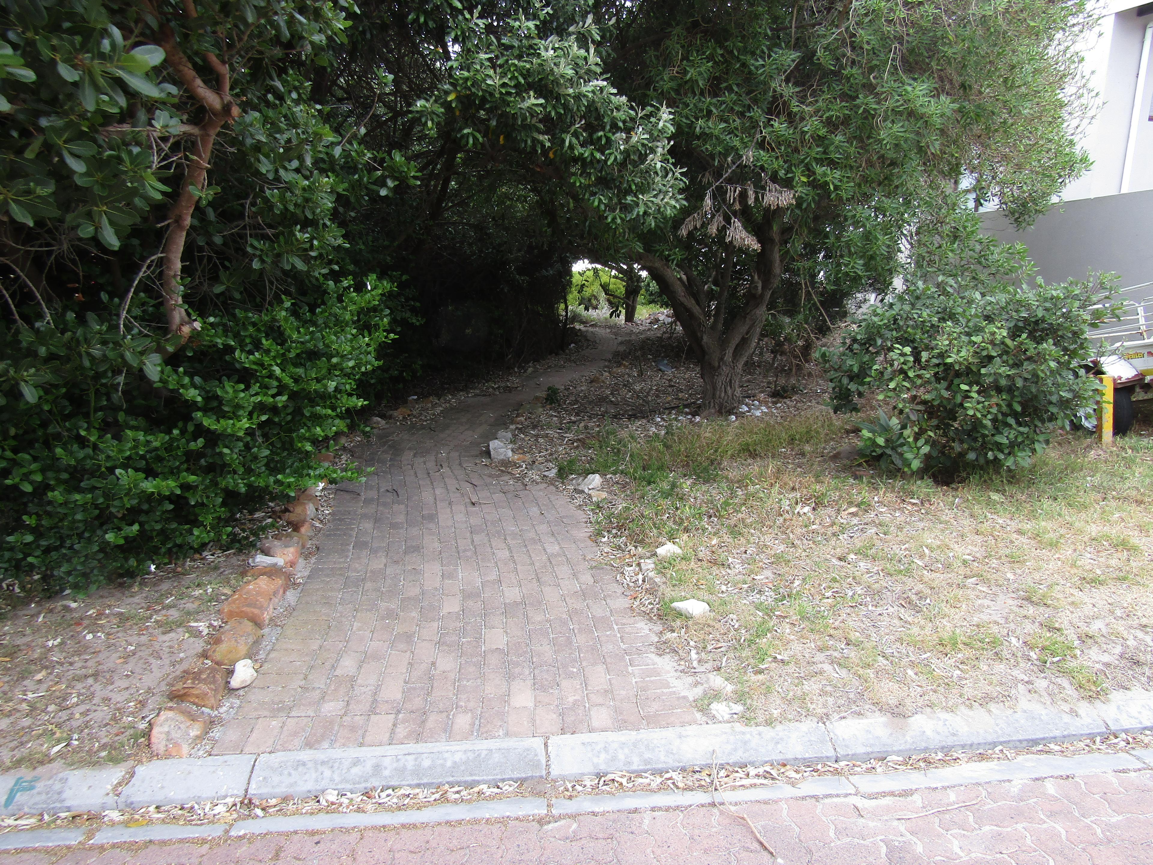 Image 10