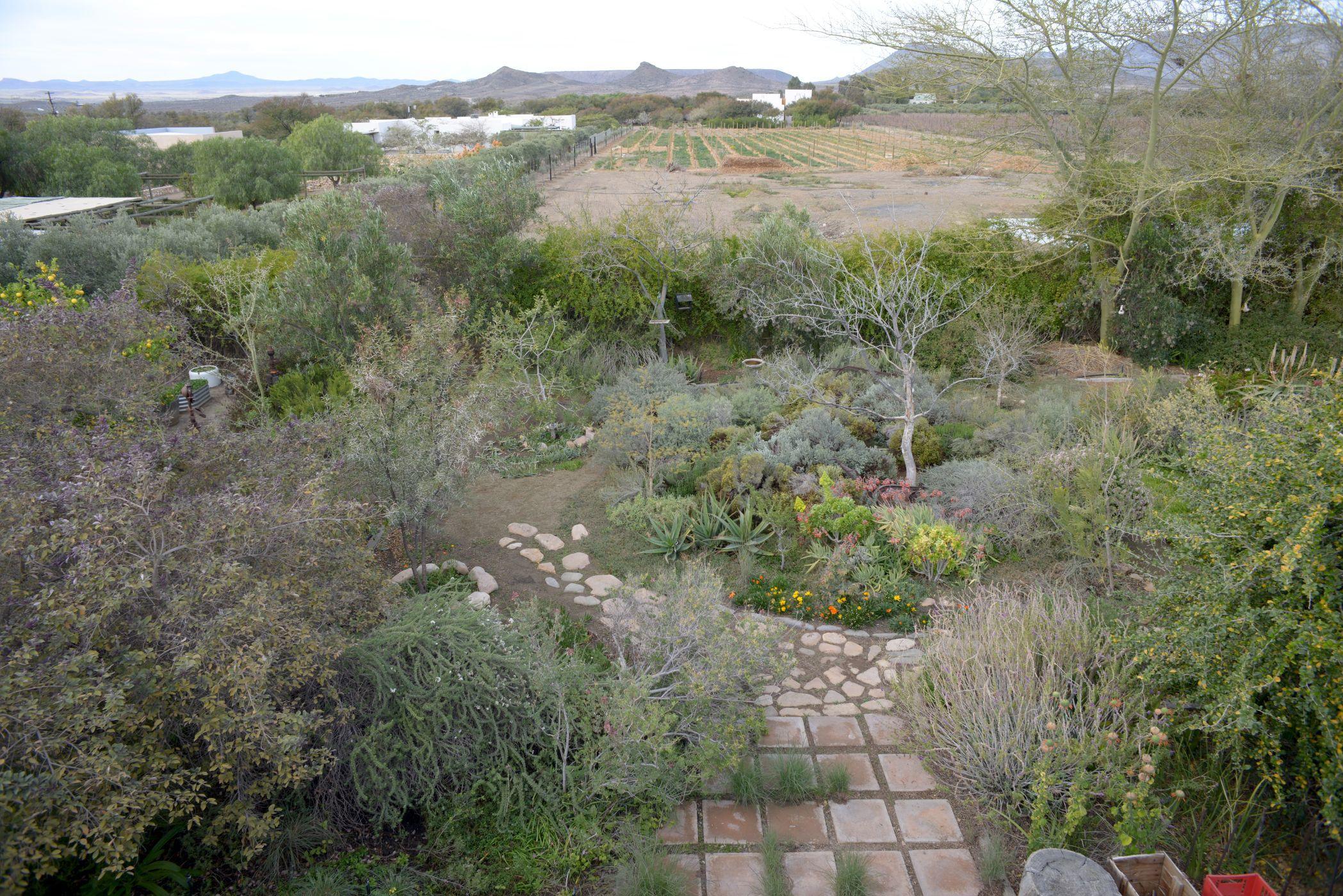 Image 50