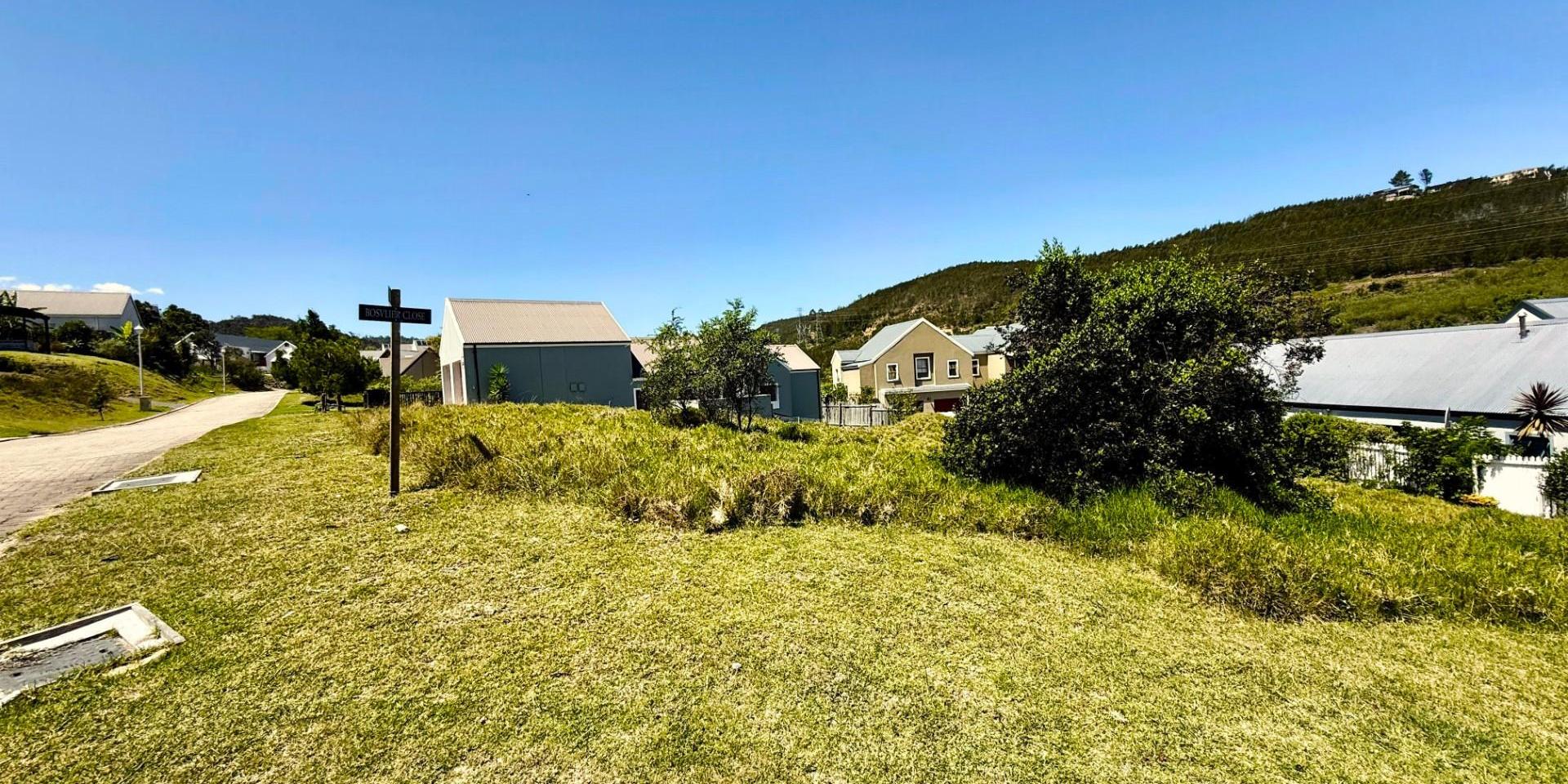 Image 4 of 6