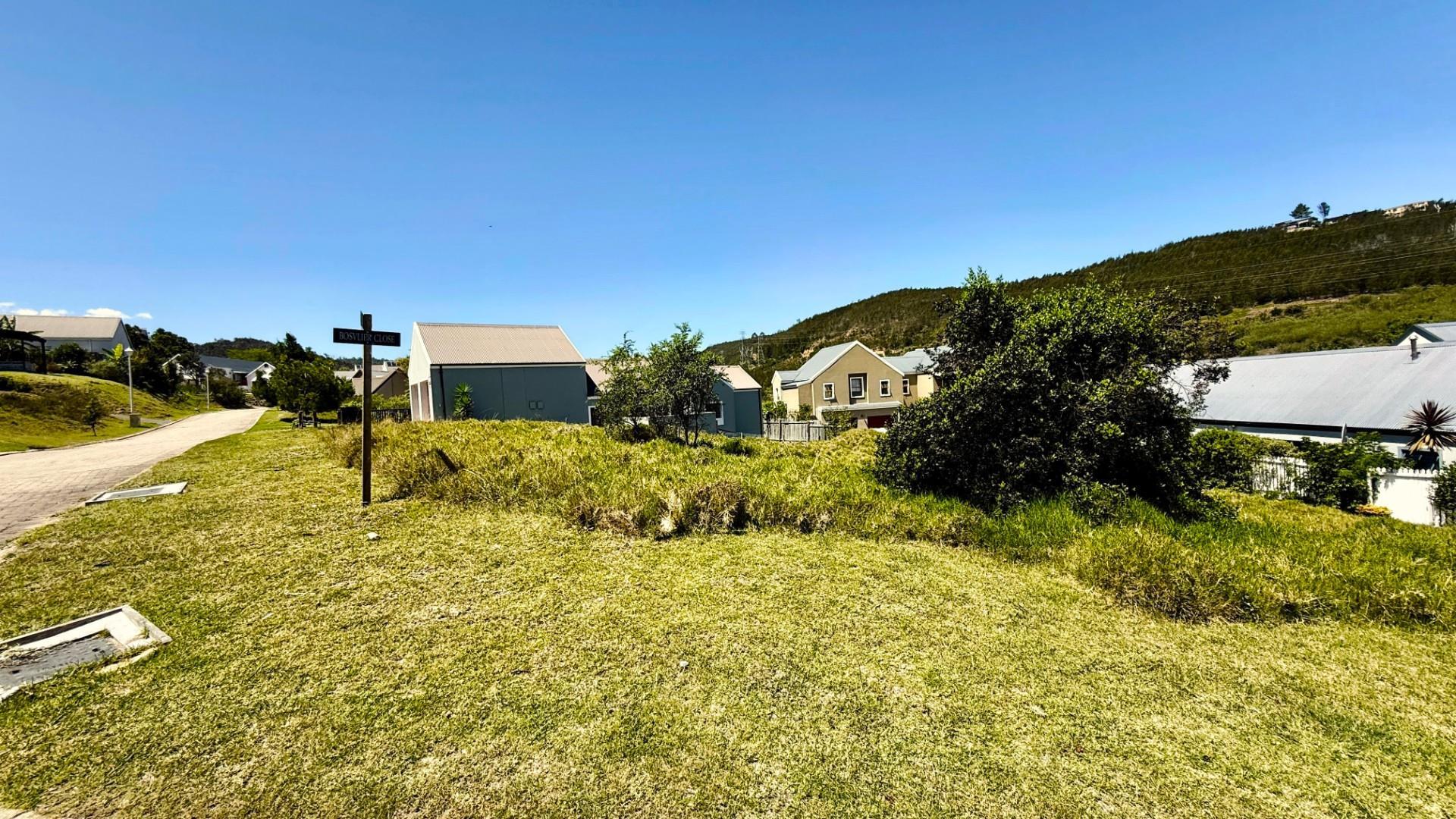 Image 4 of 6