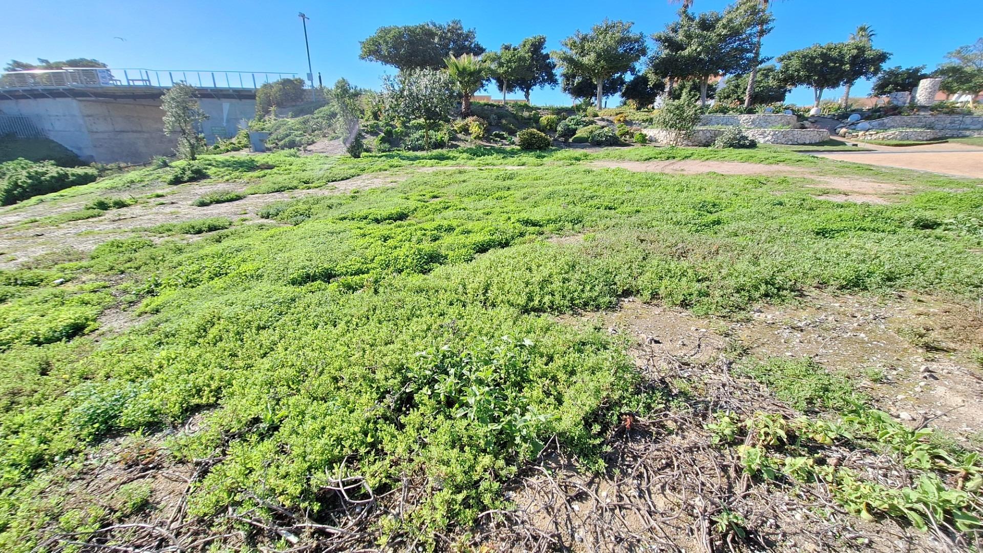 Image 4 of 6