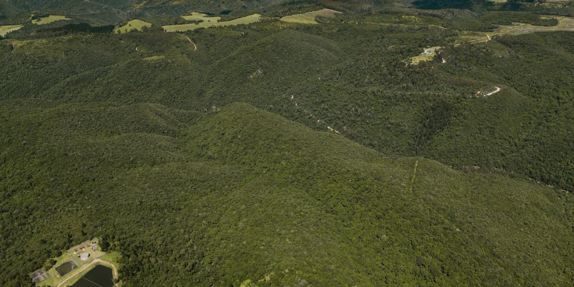 Image 4 of 6