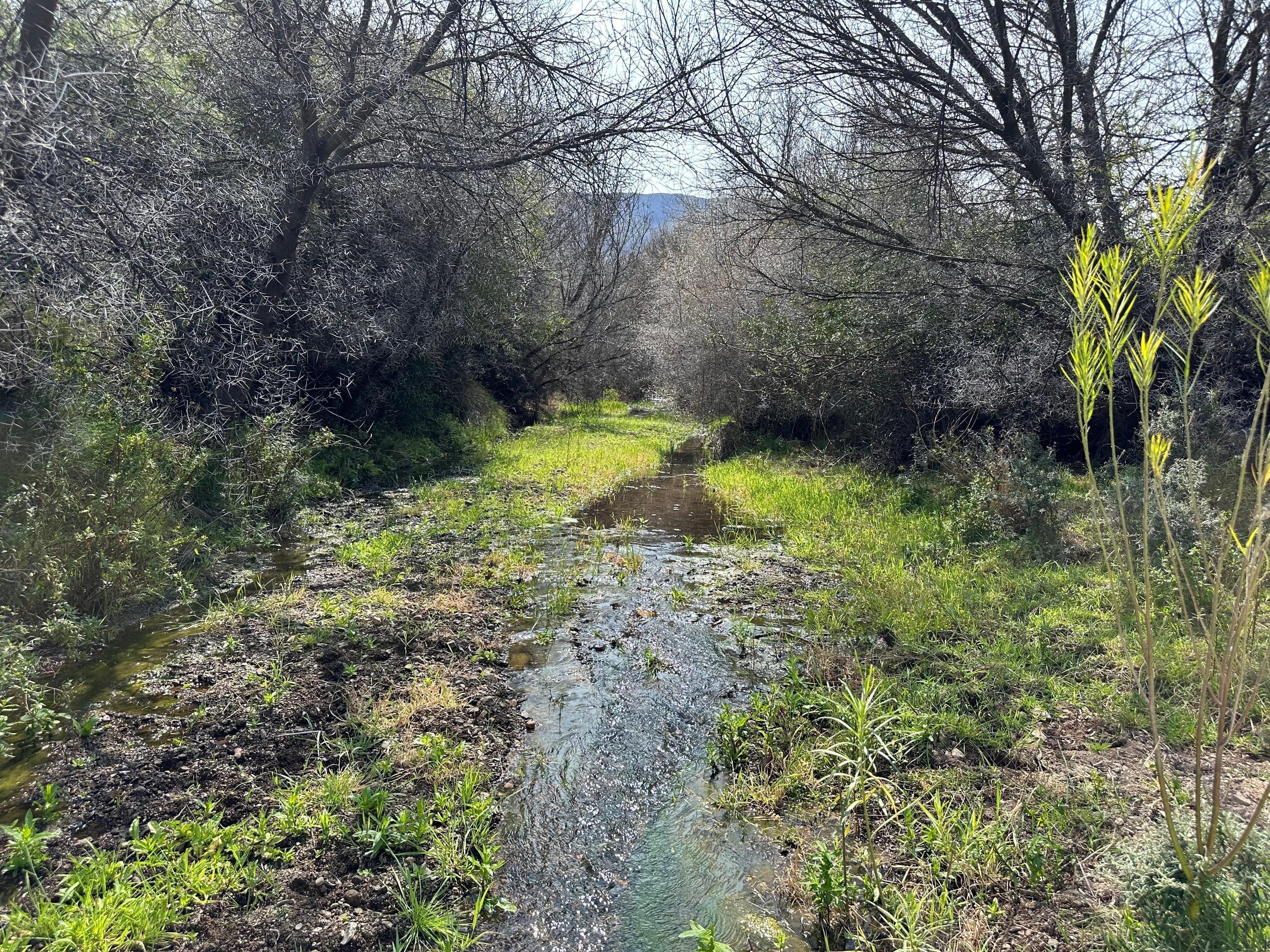 Image 8