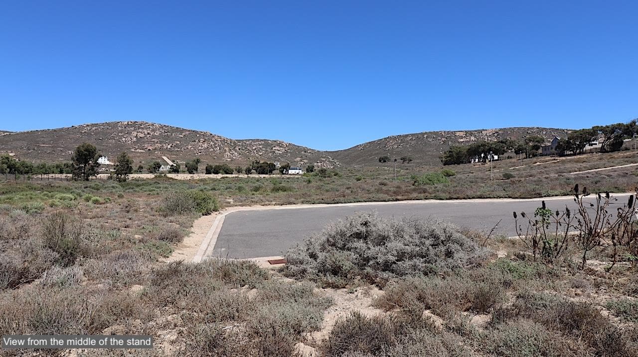 Image 15