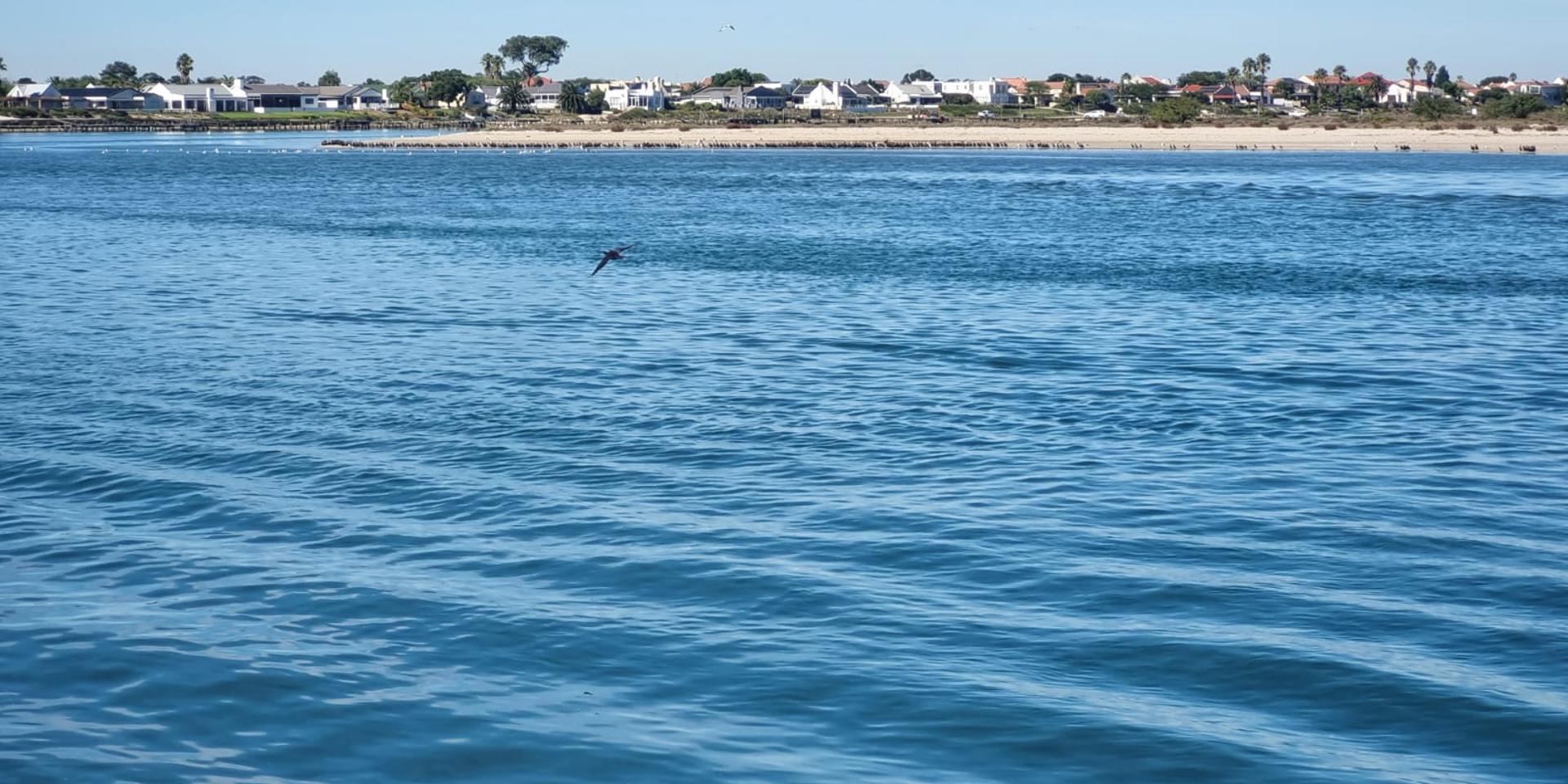 Image 5 of 6