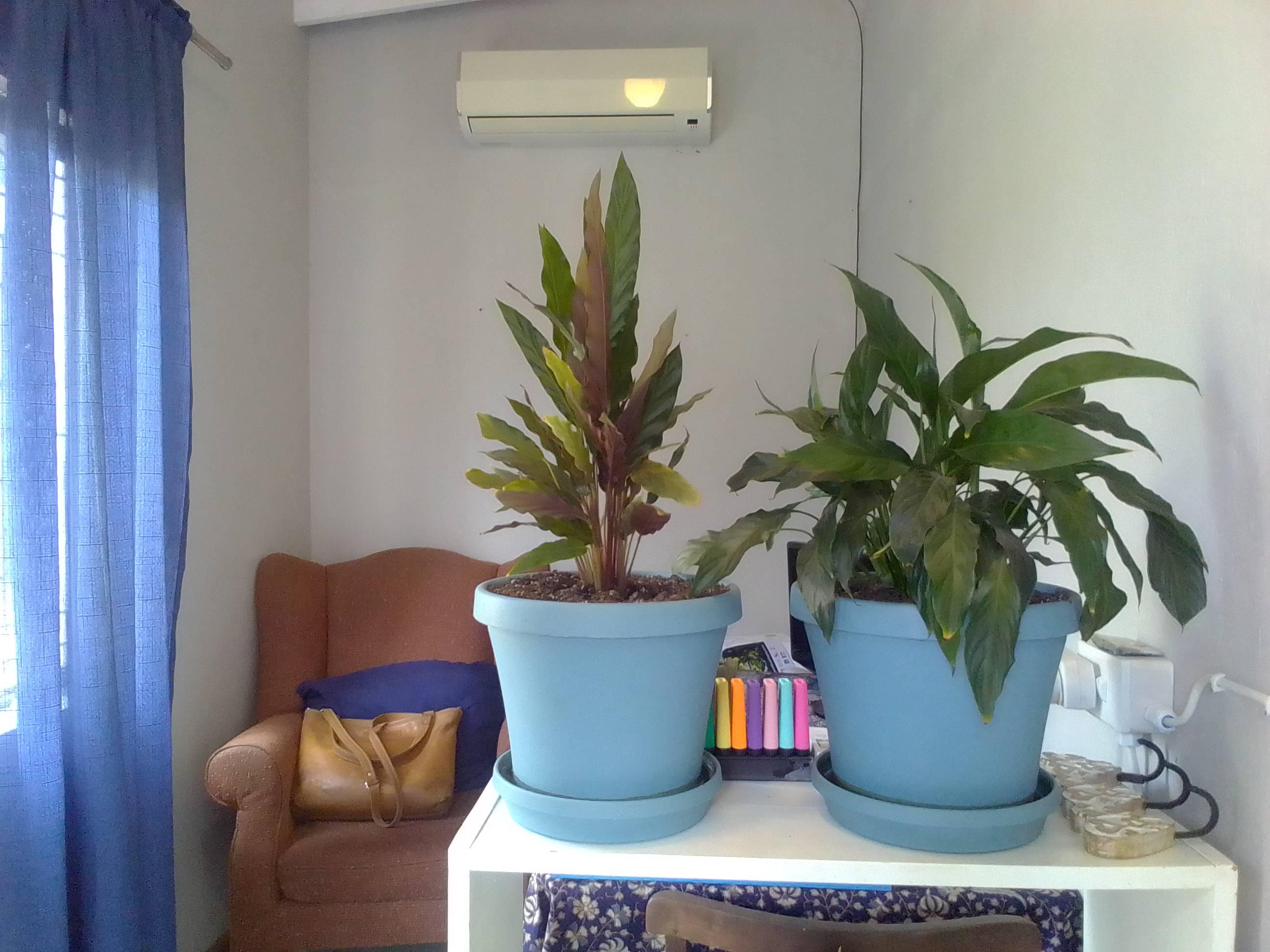 Image 2 of 6