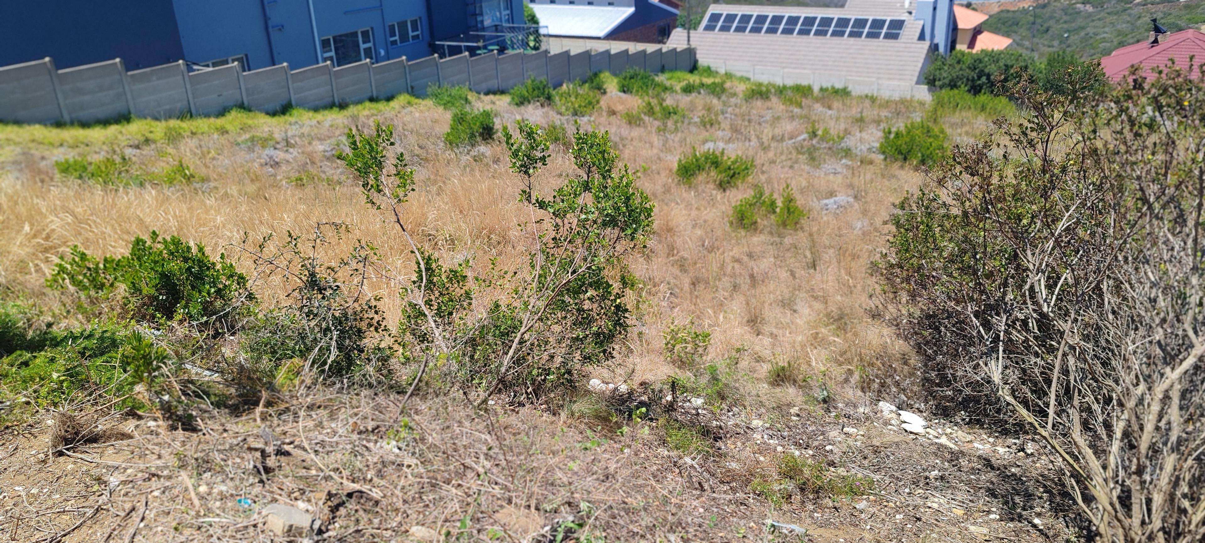 Image 3 of 6