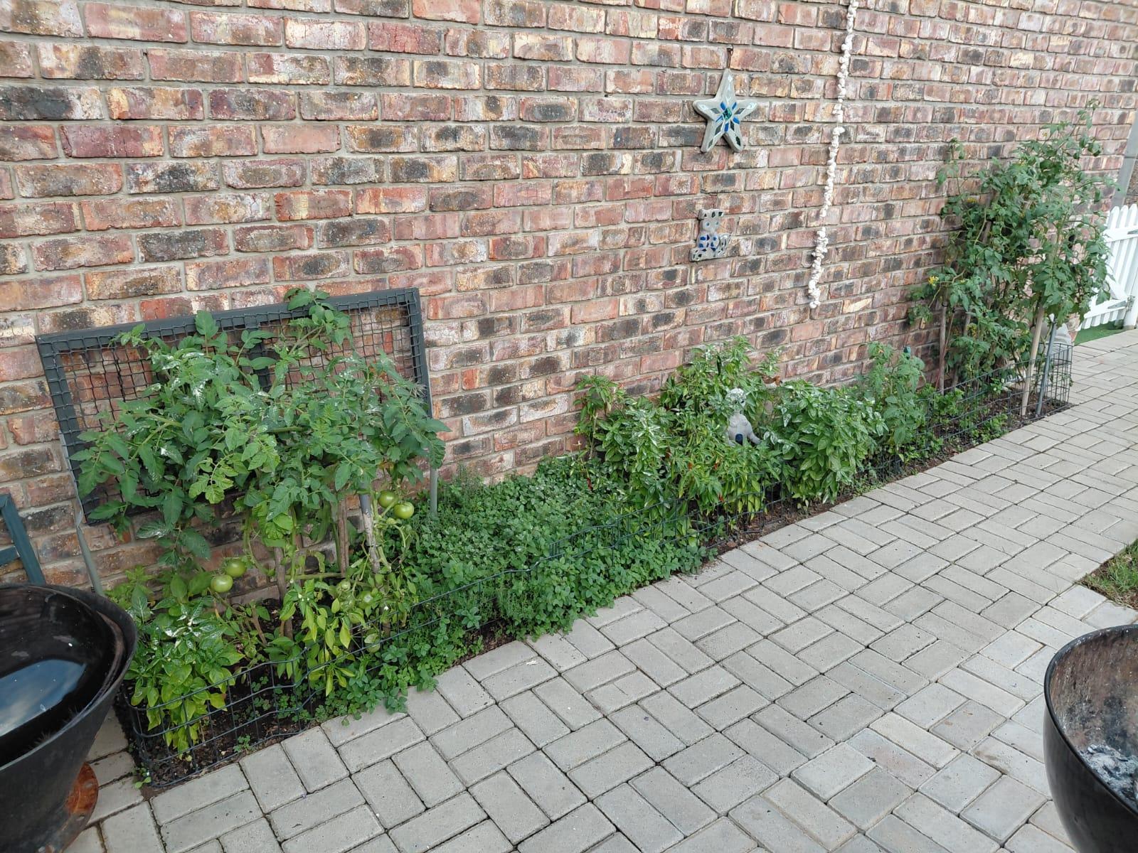 Image 15