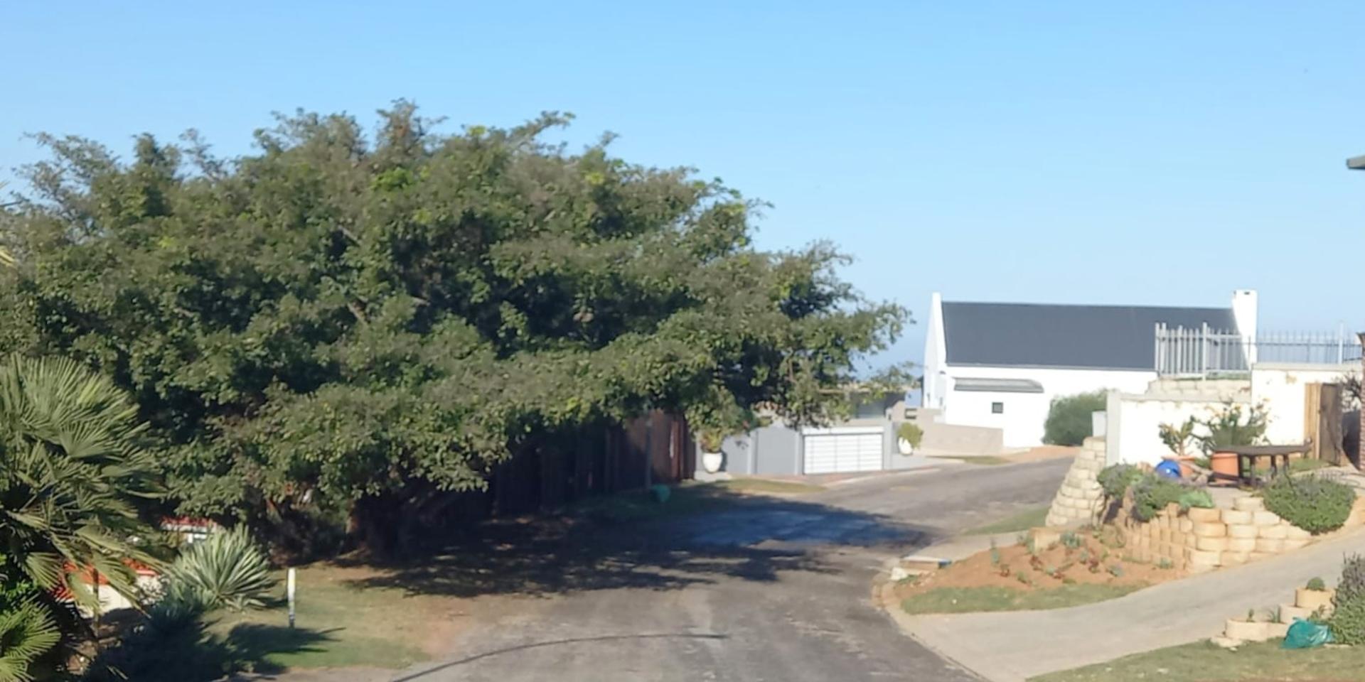 Image 4 of 6