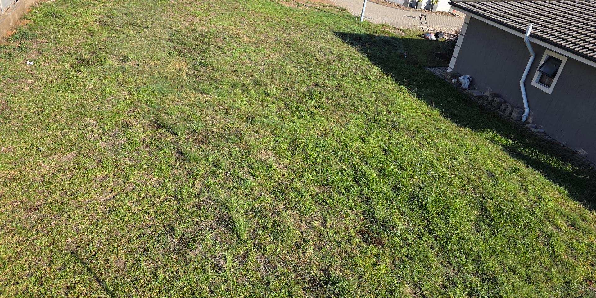 Image 2 of 6