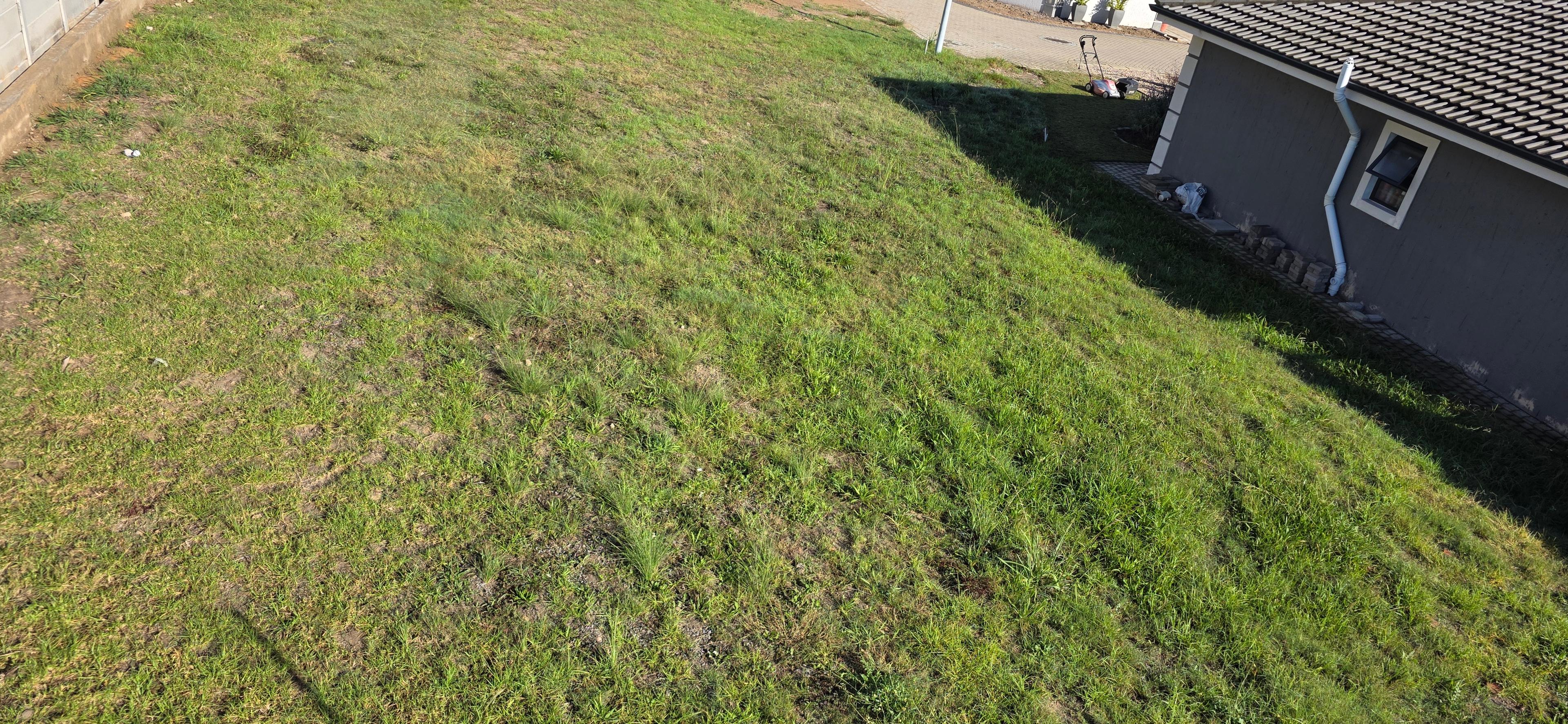 Image 2 of 6