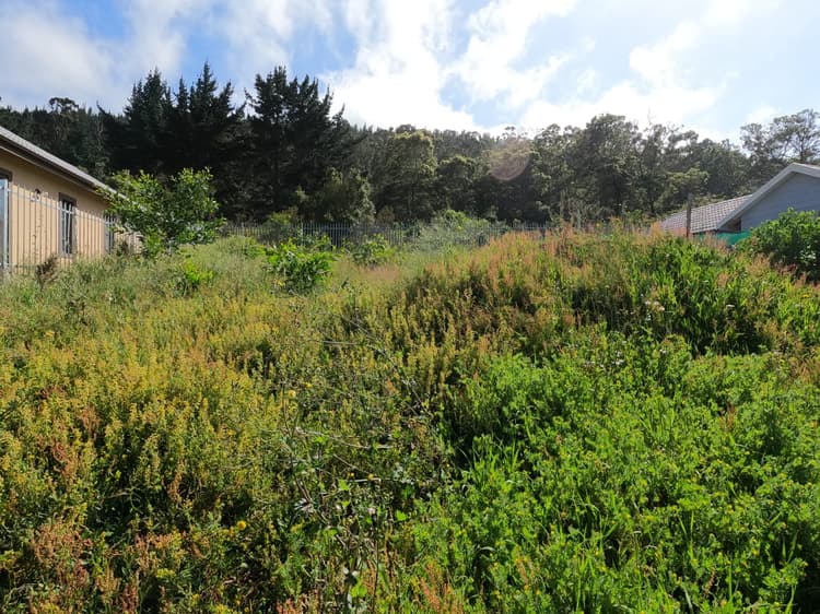 Main property image
