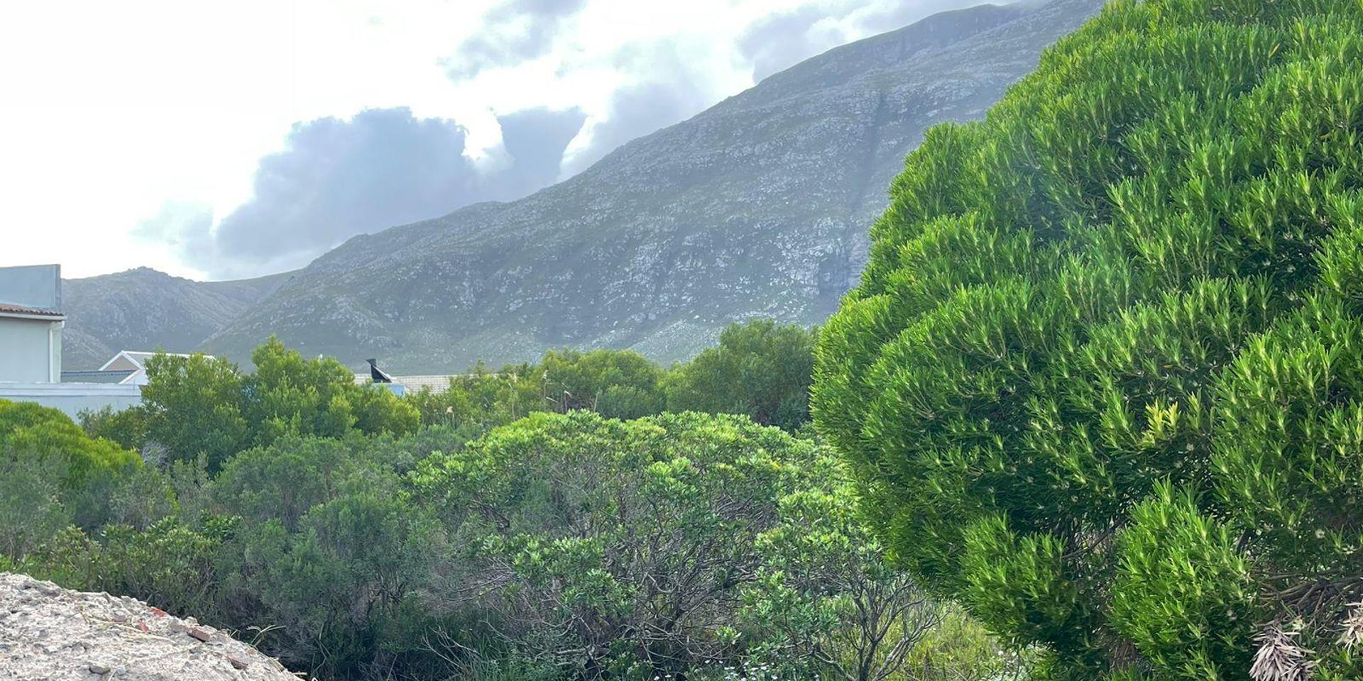 Image 2 of 6