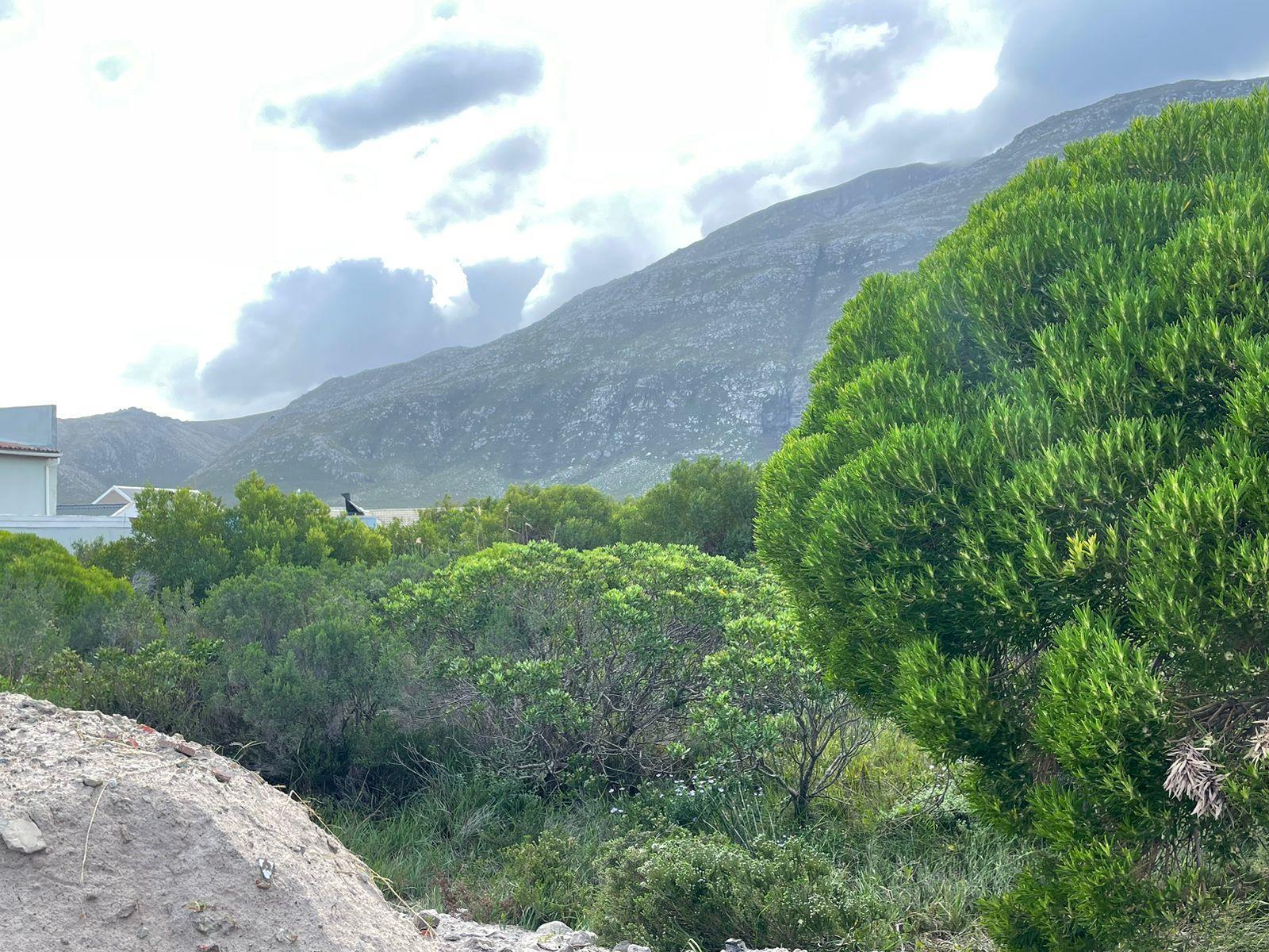 Image 2 of 6