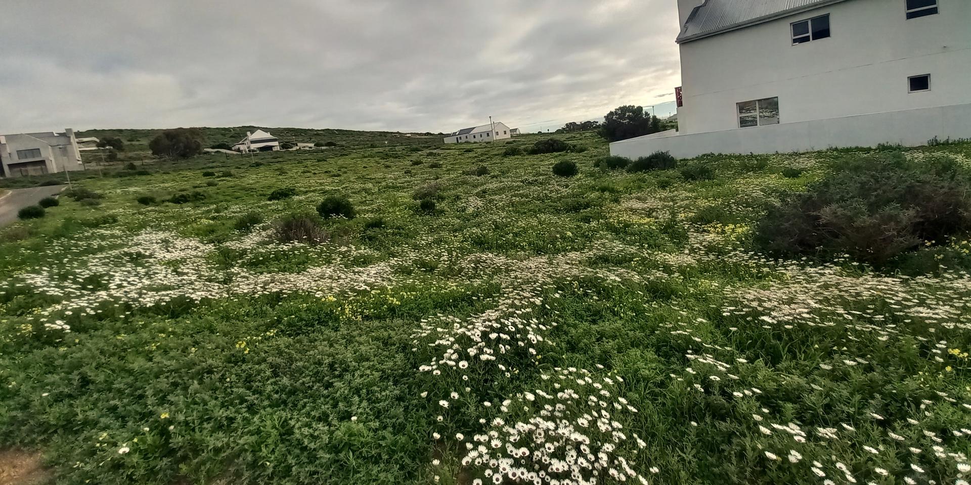 Image 4 of 6