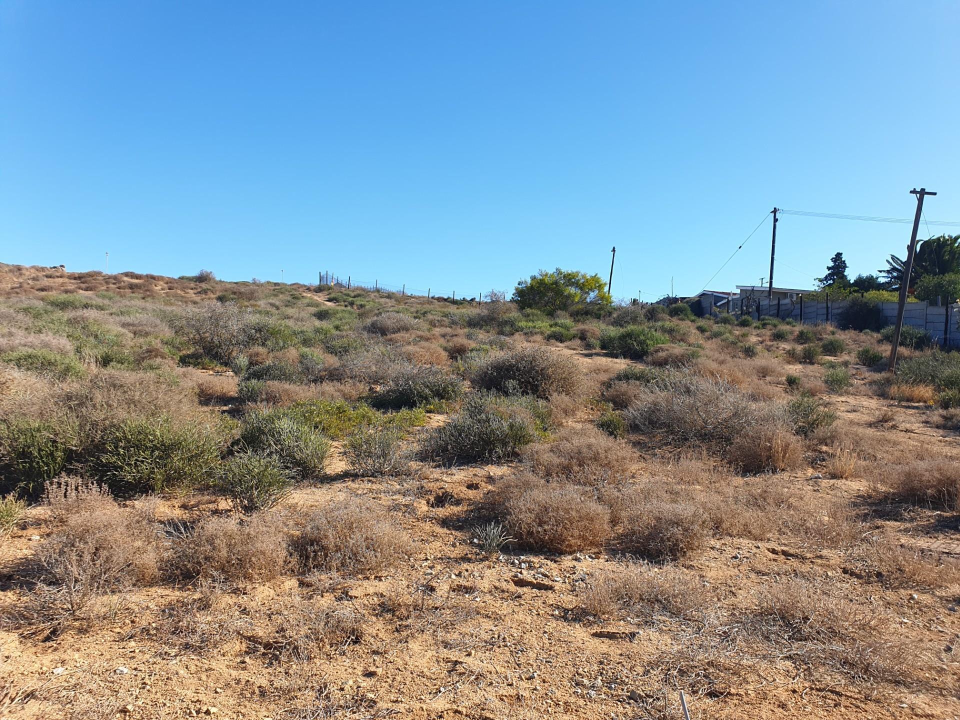 Image 14