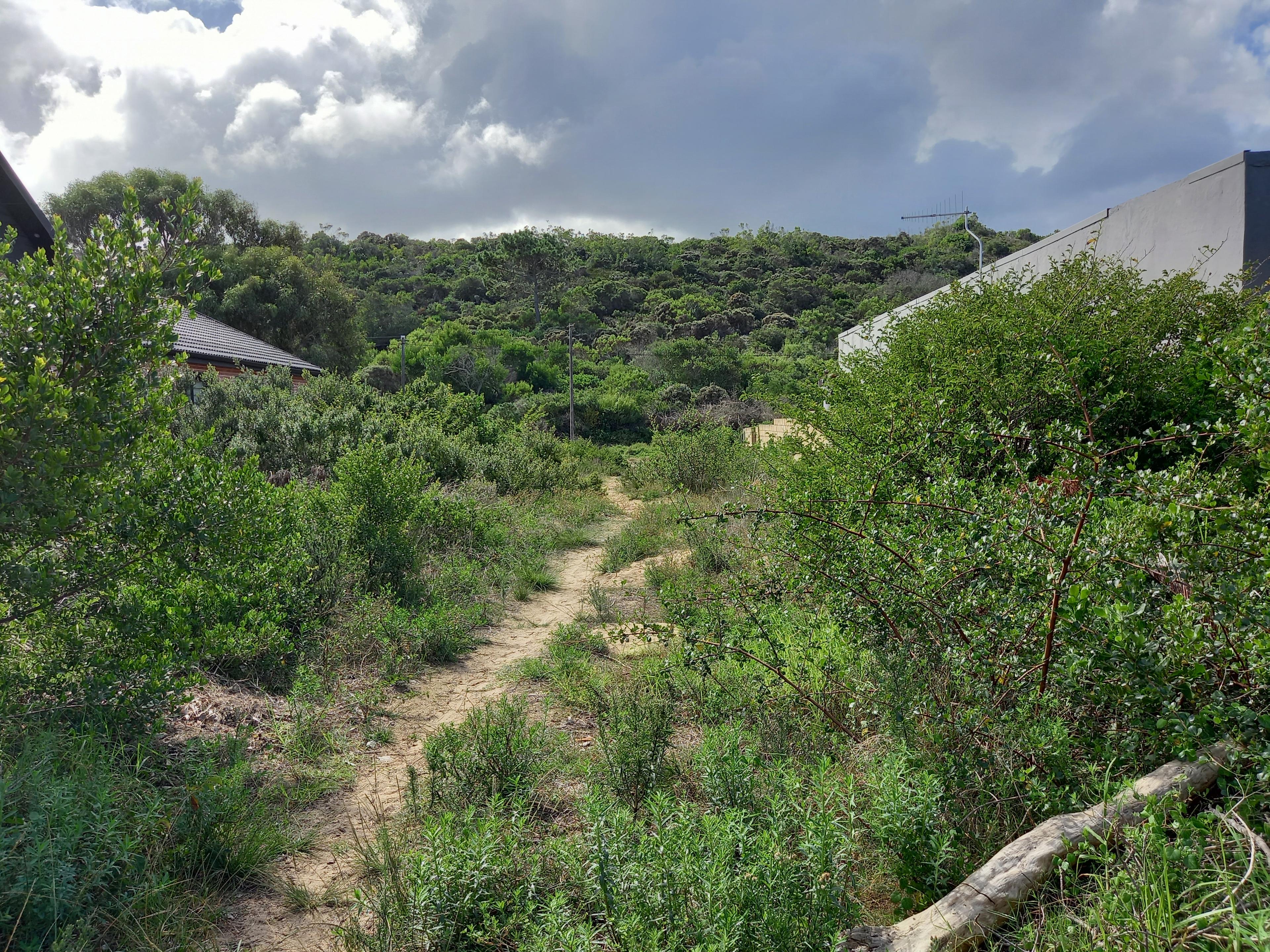 Image 5 of 6