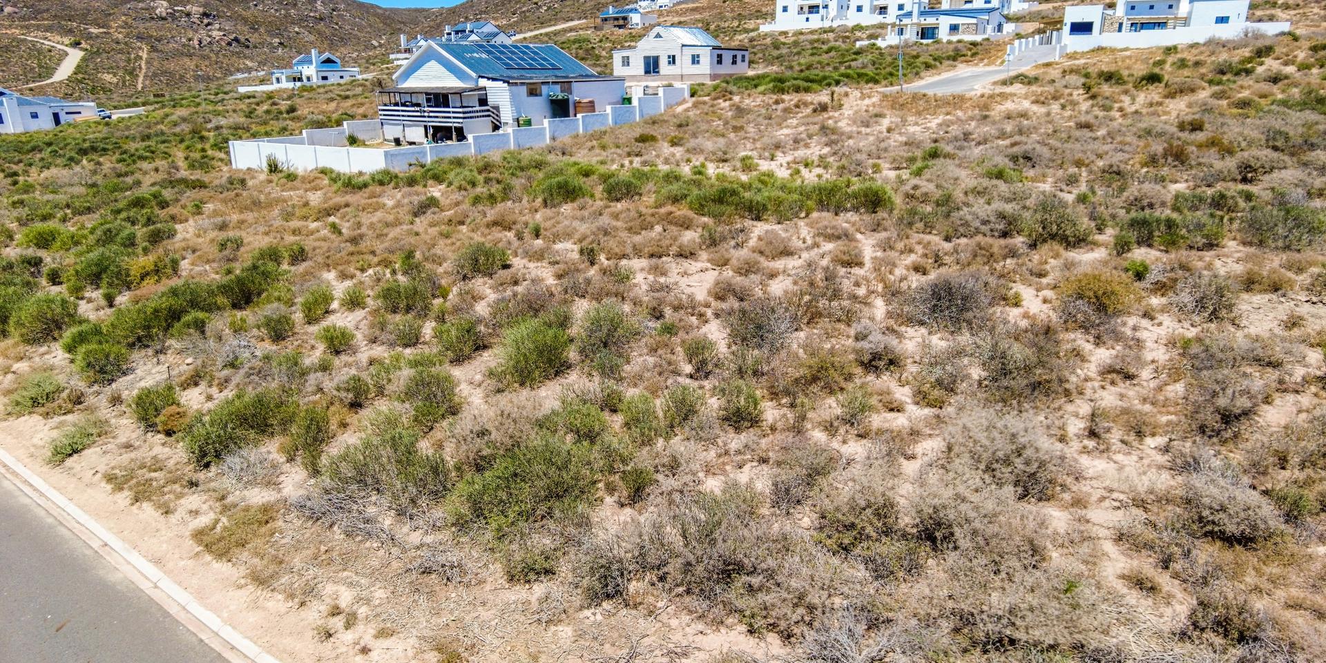 Image 5 of 6