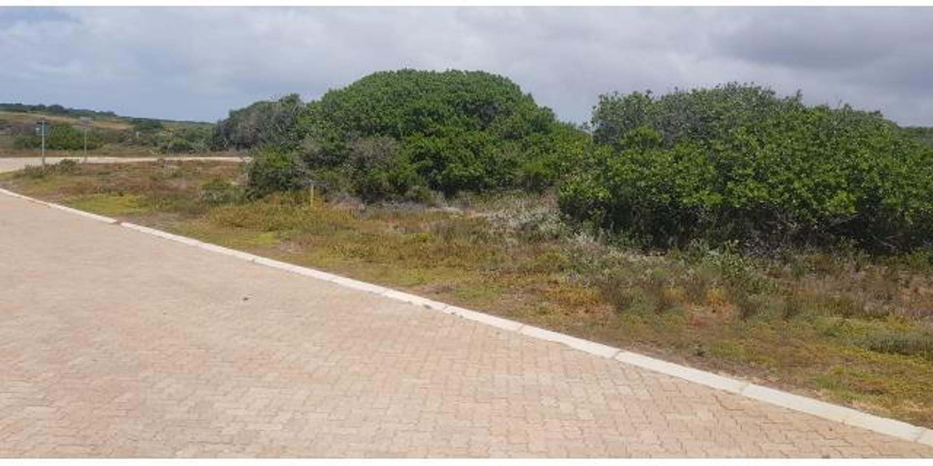 Image 2 of 6