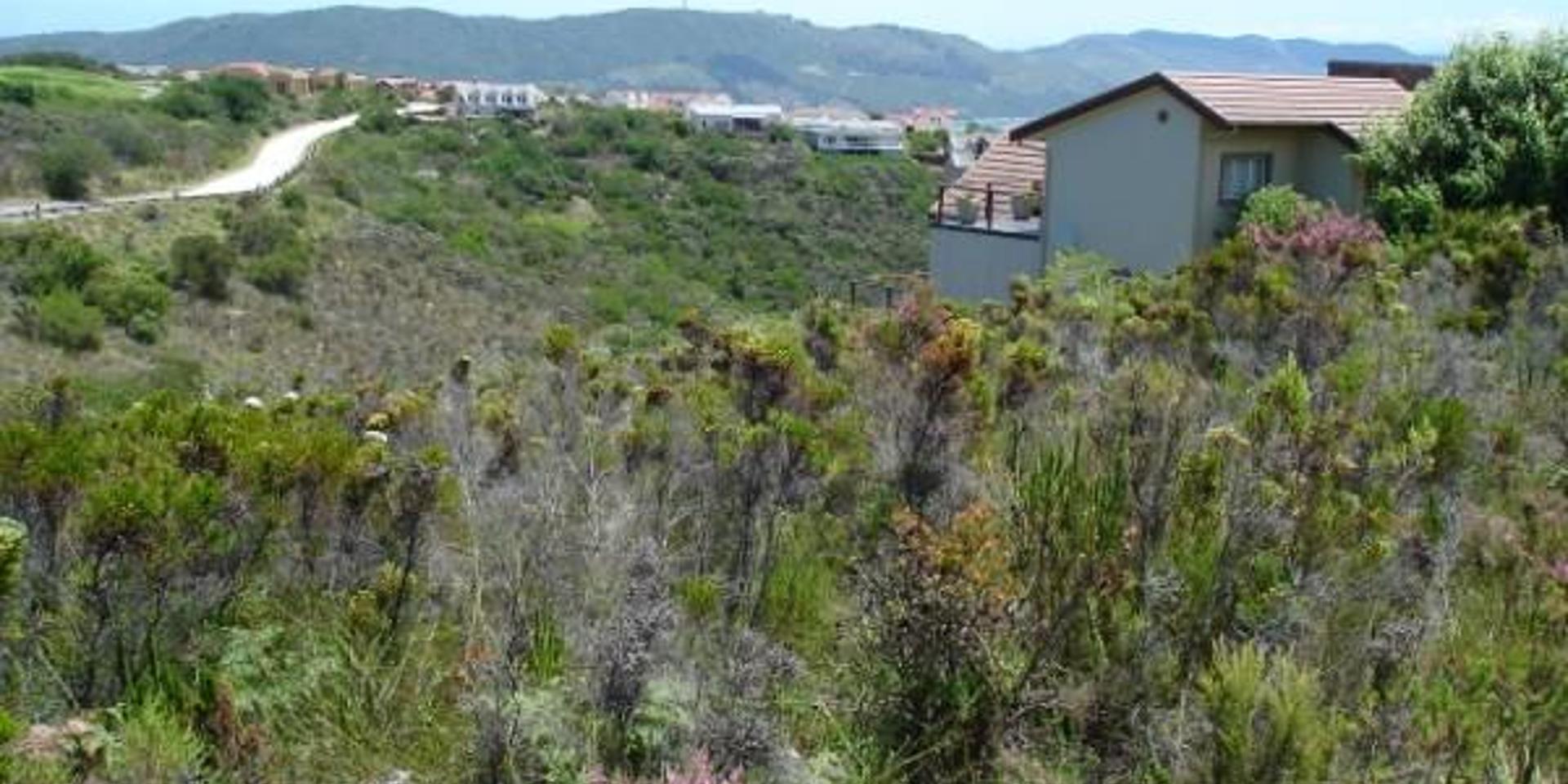 Image 4 of 6