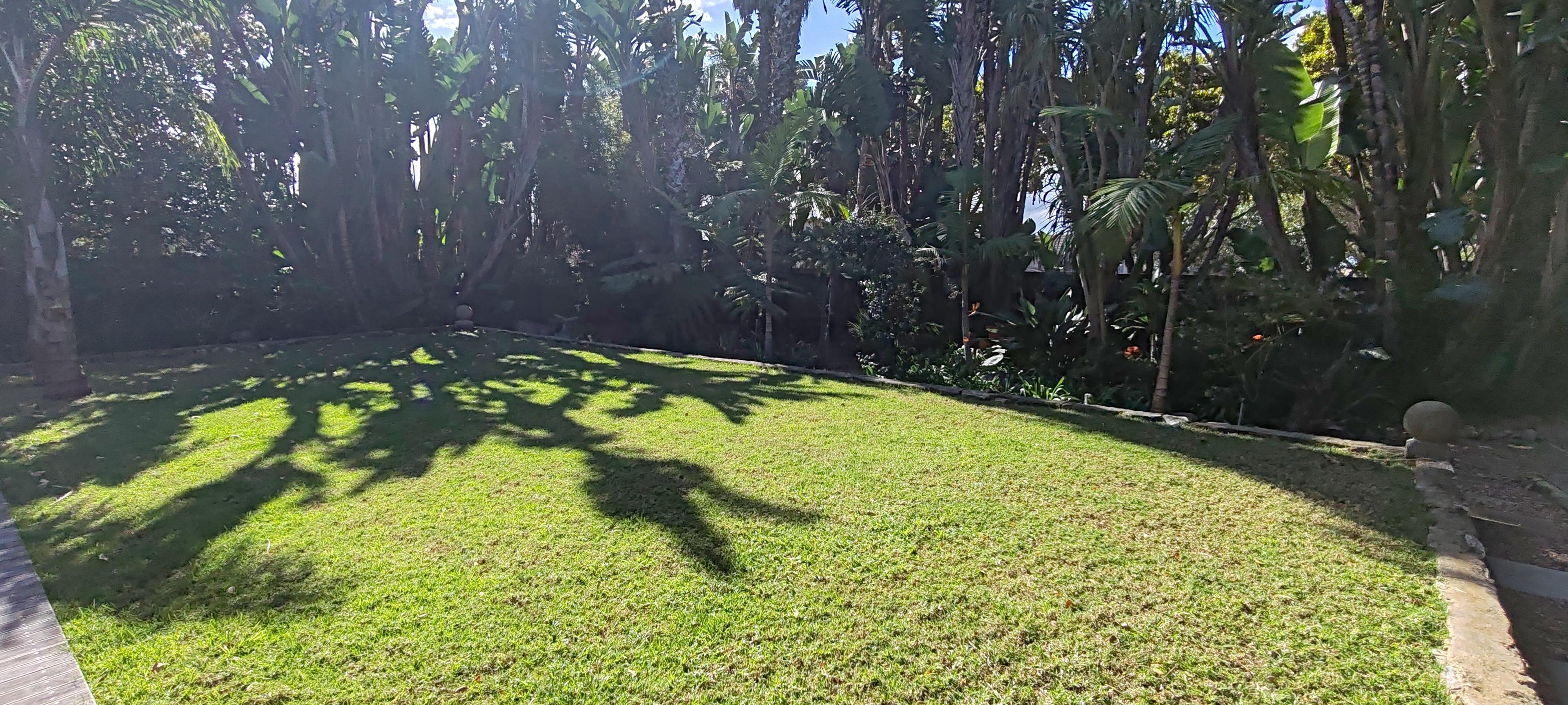 Image 30