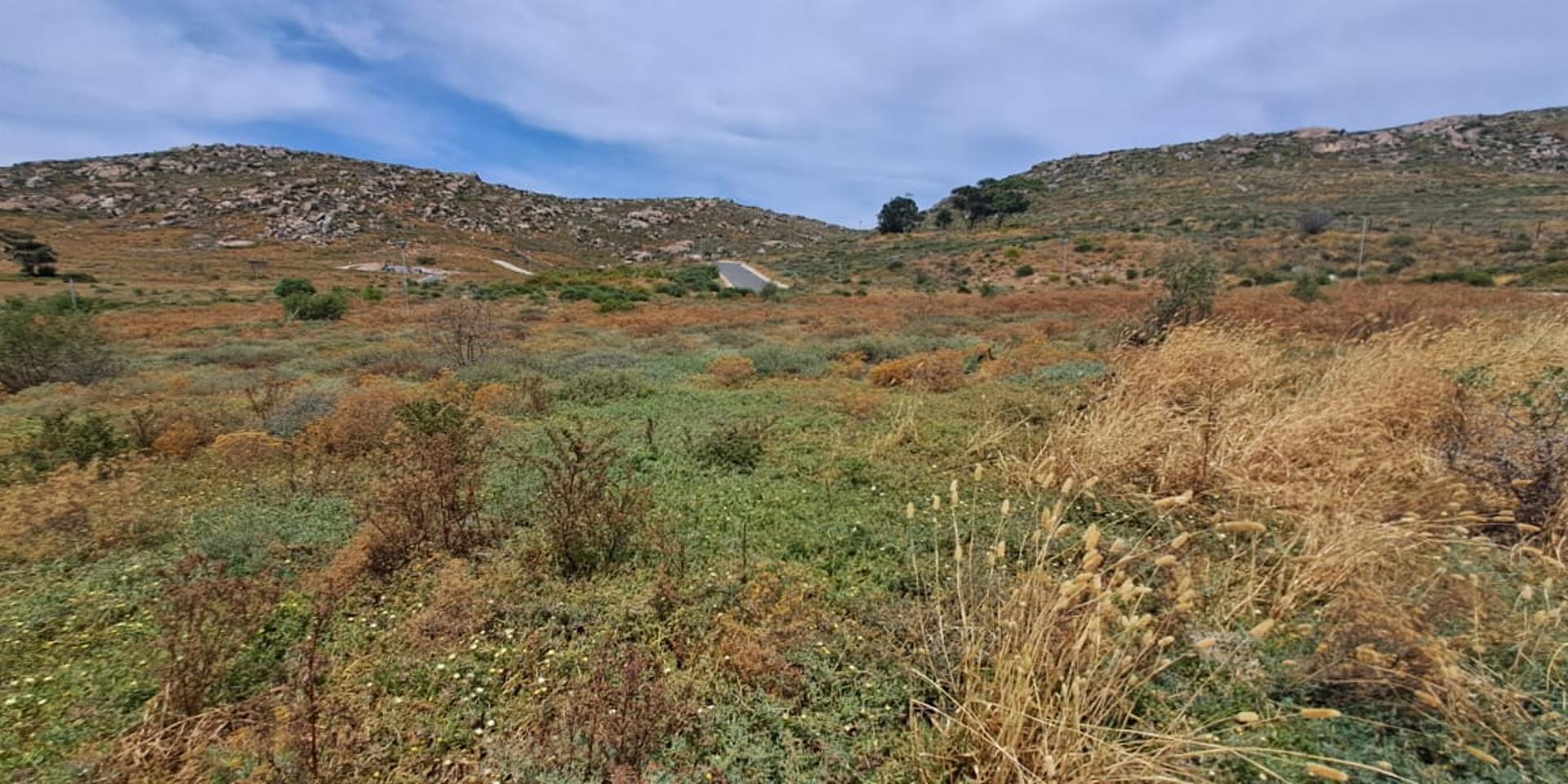 Image 4 of 6