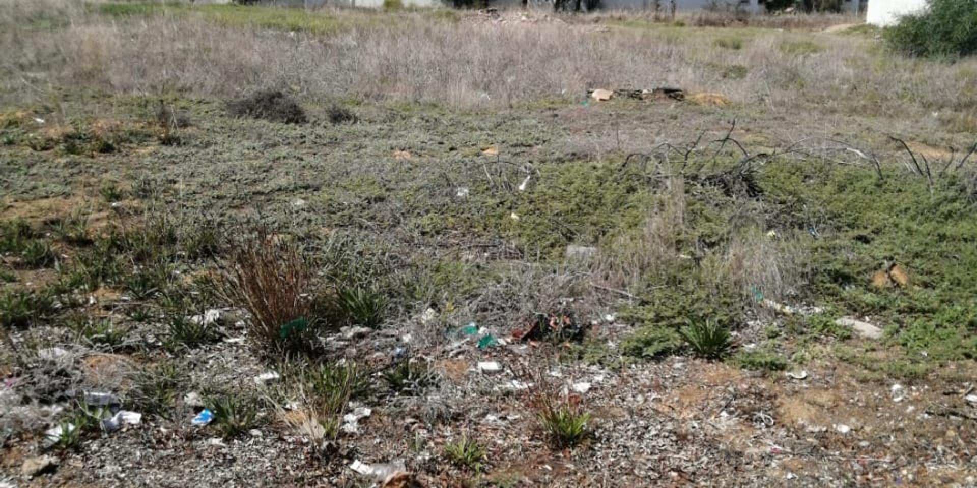 Image 4 of 6