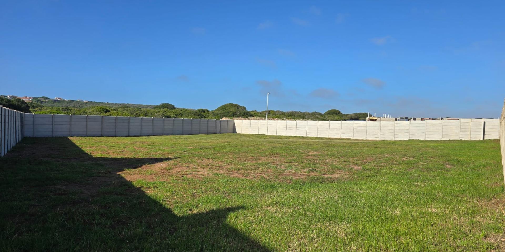 Image 2 of 6