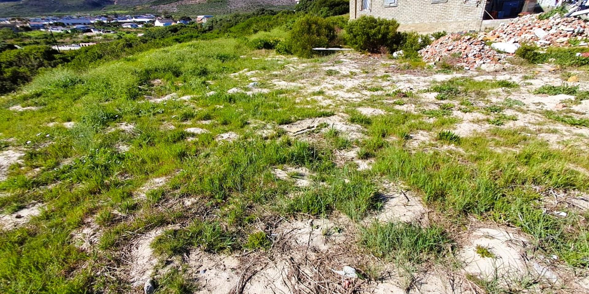 Image 4 of 6