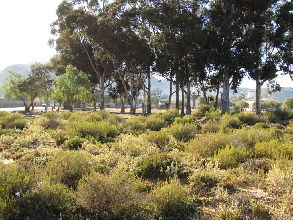 Image 3 of 6