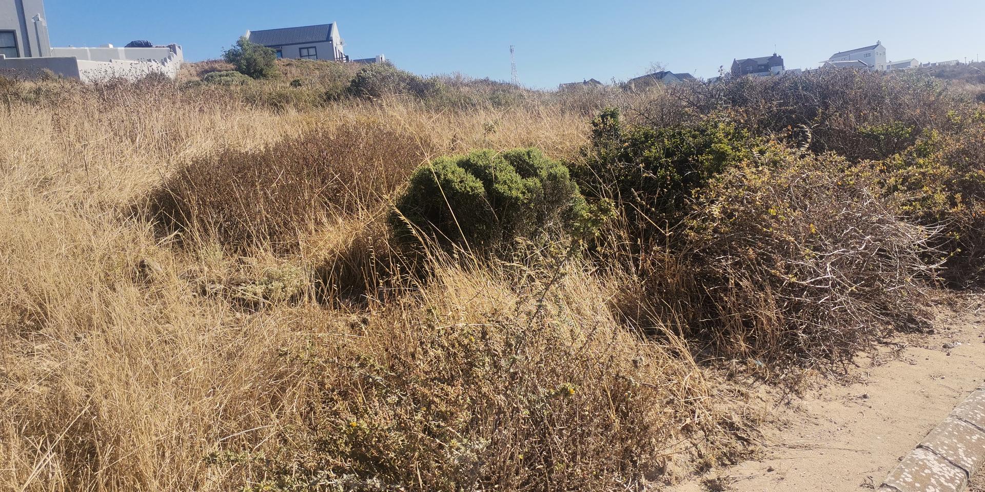 Image 2 of 6