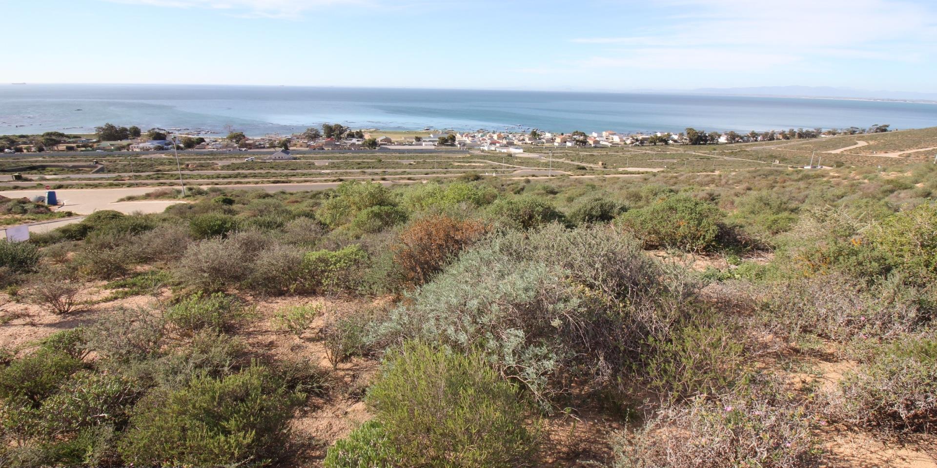 Image 4 of 6