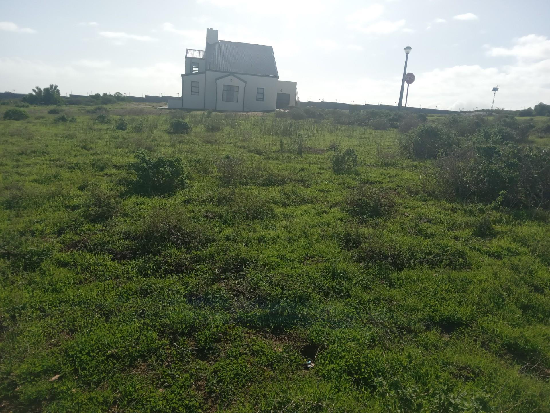Image 10