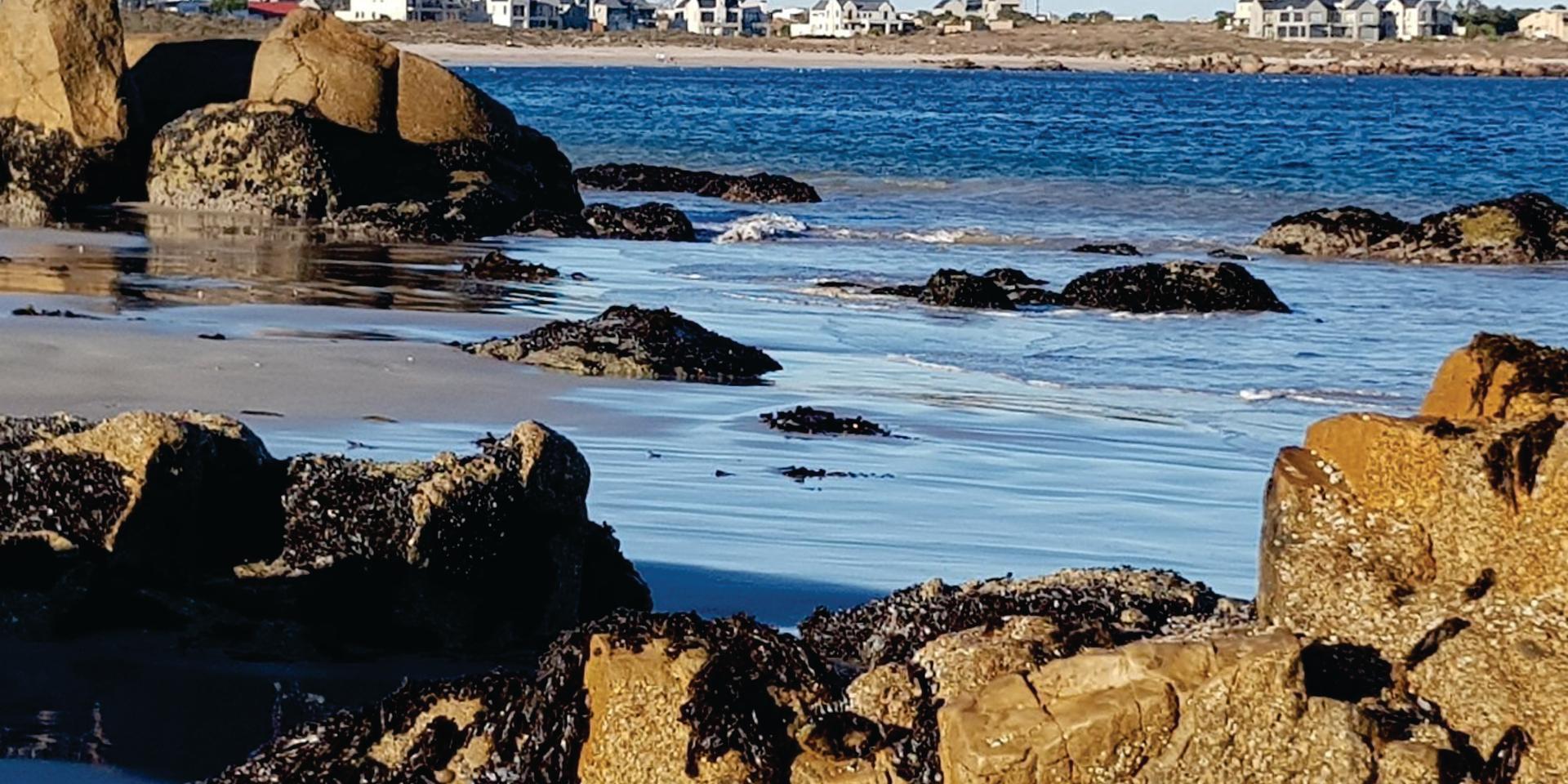Image 2 of 6