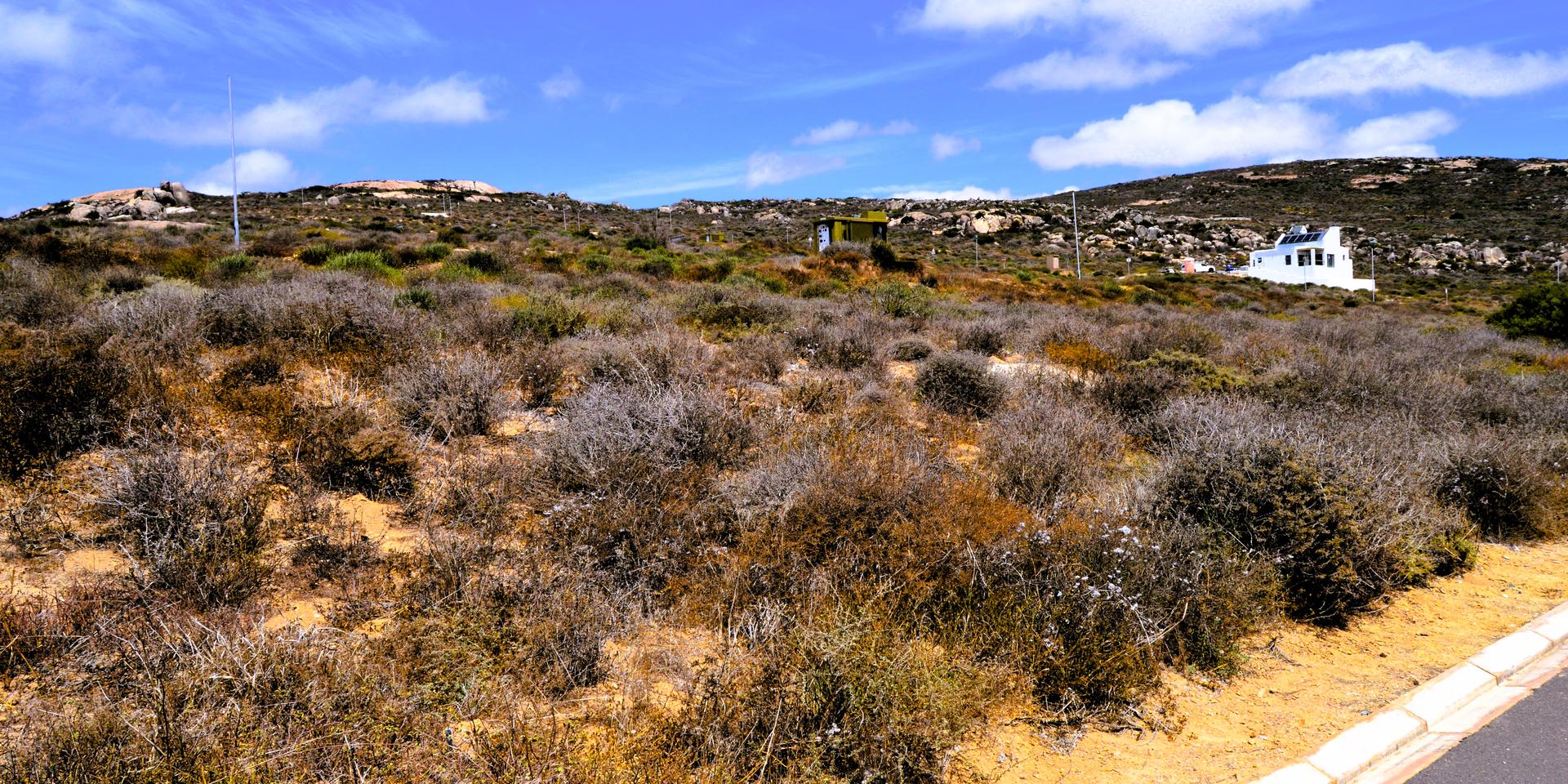 Image 4 of 6