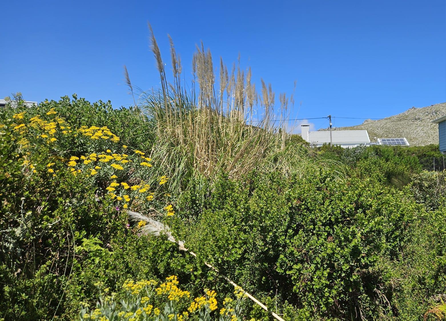 Image 2 of 6