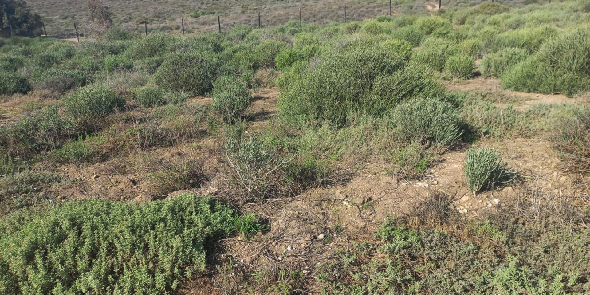 Image 5 of 6