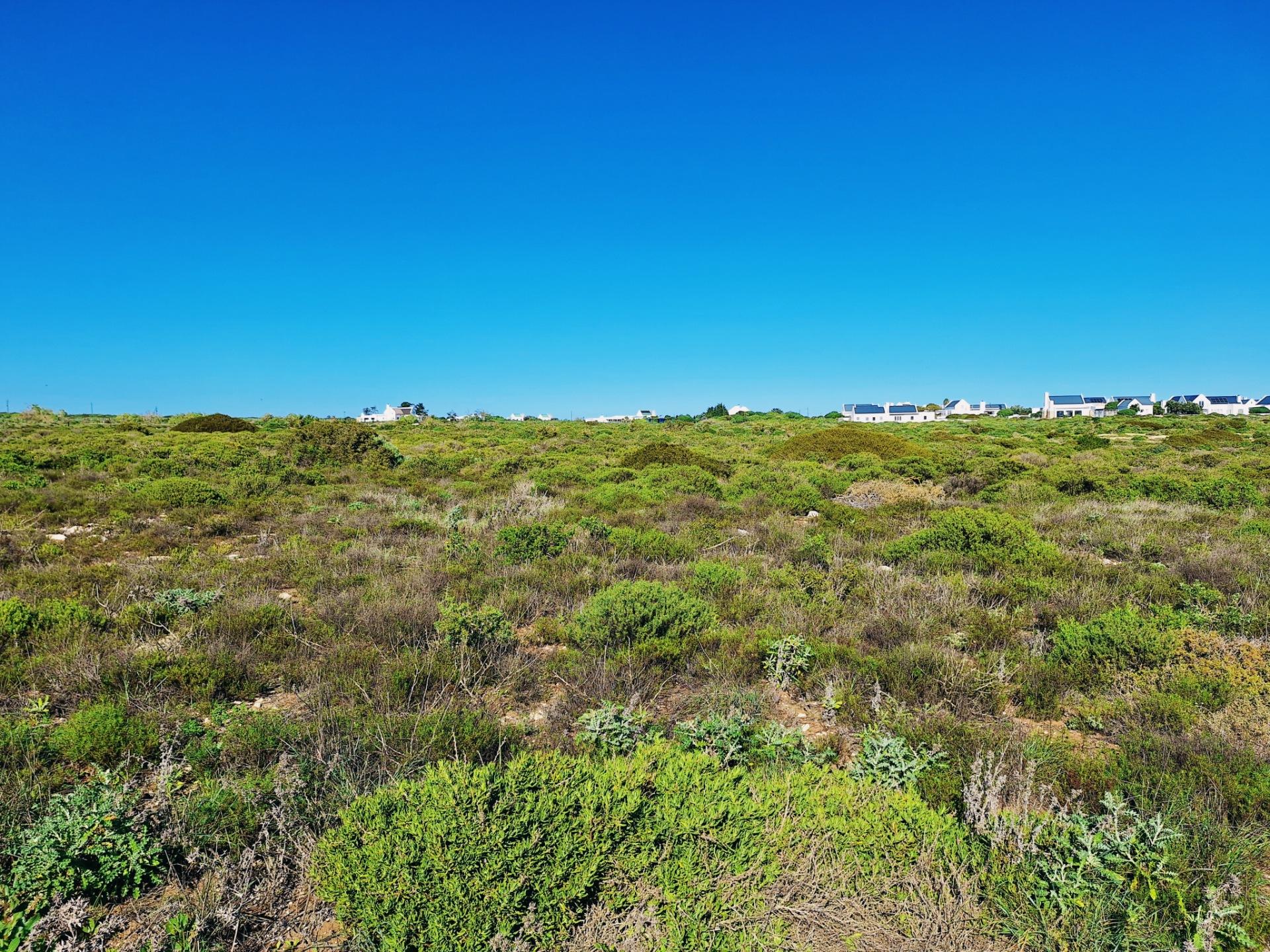 Image 4 of 6