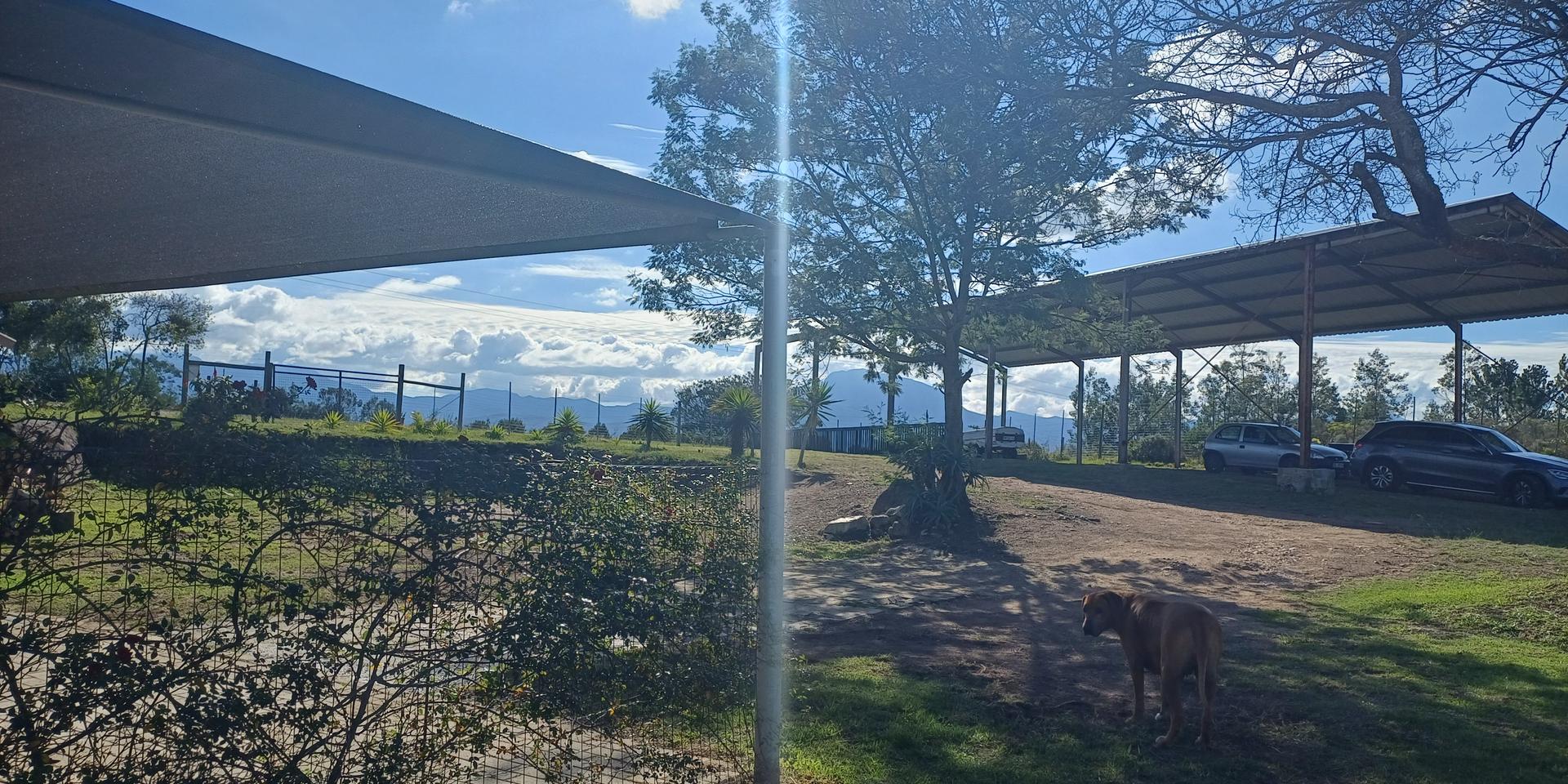 Image 2 of 6