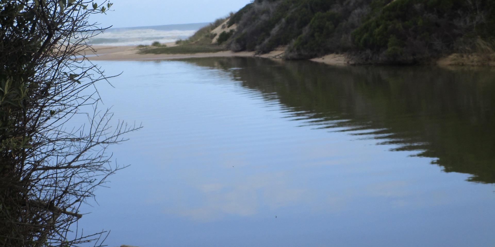 Image 4 of 6
