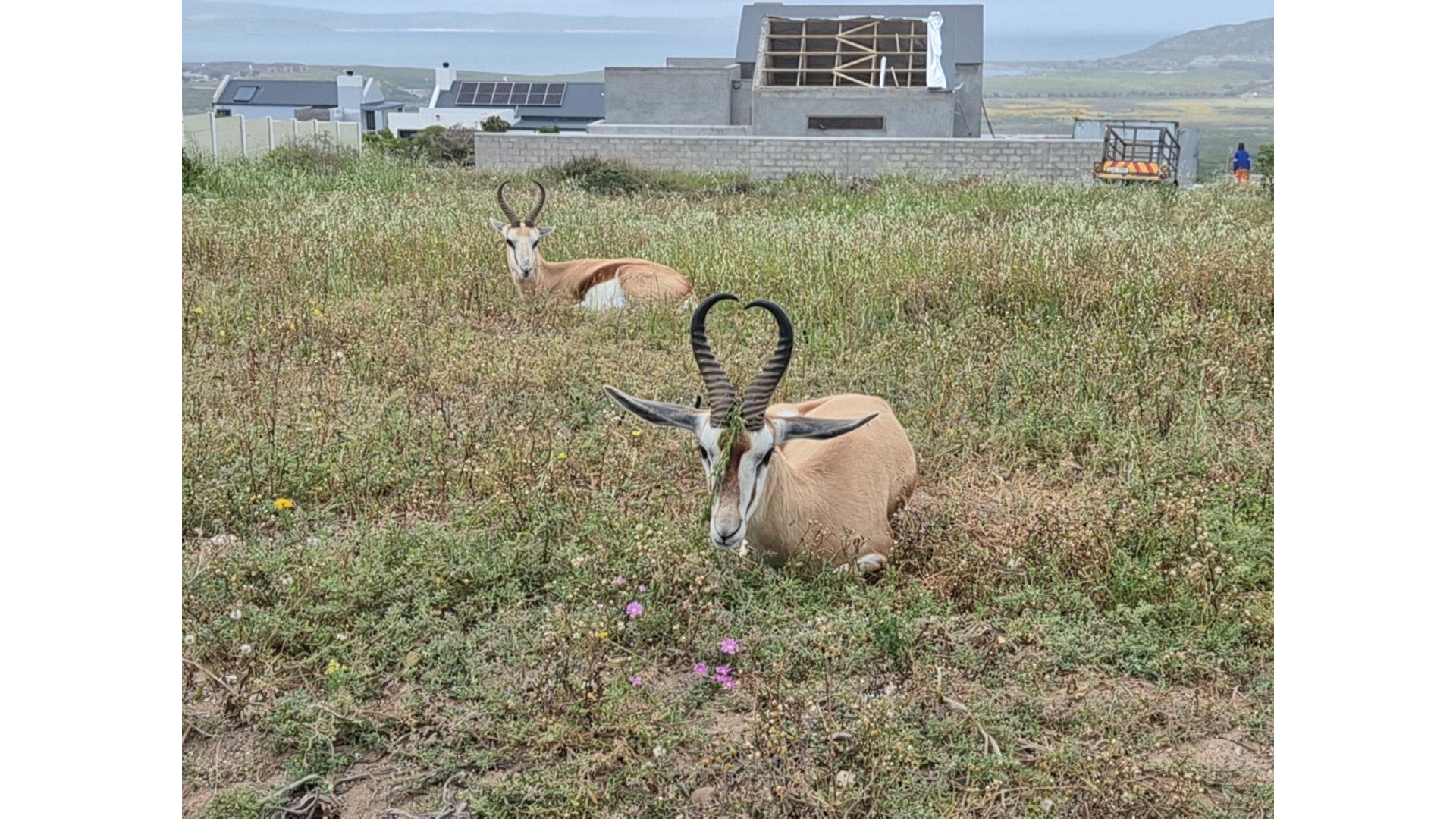 Image 4 of 6
