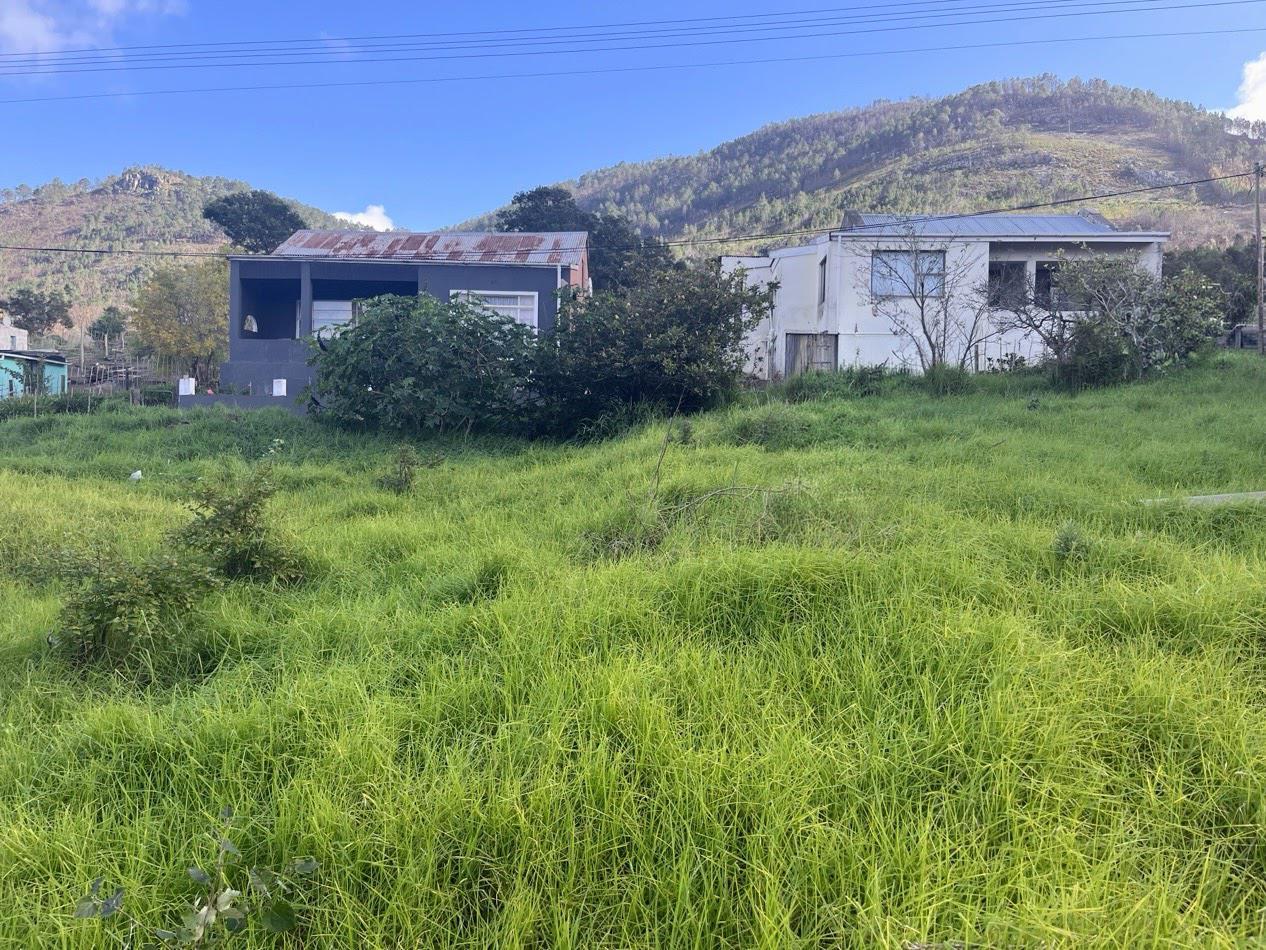 Image 2 of 6