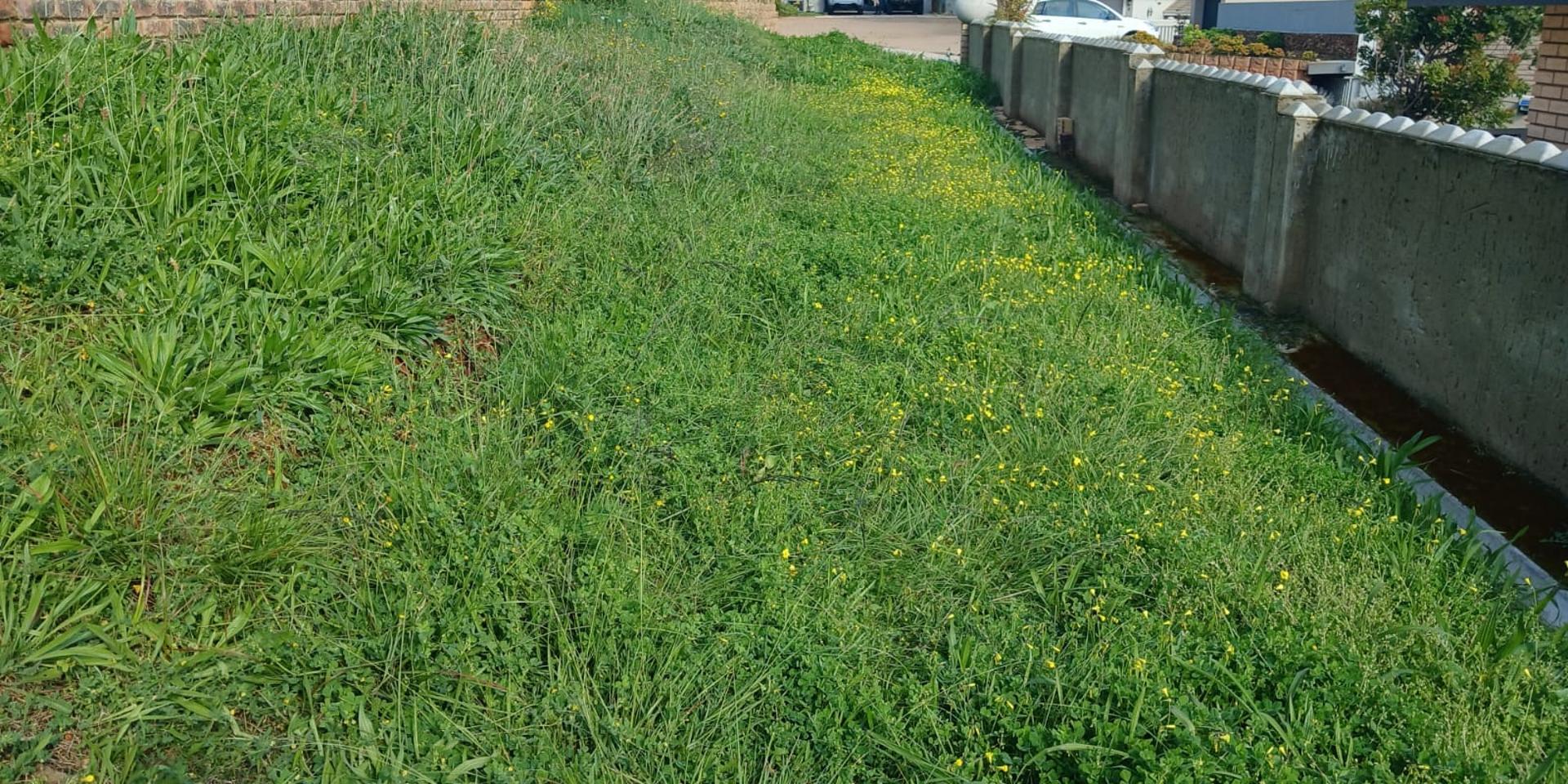 Image 5 of 6