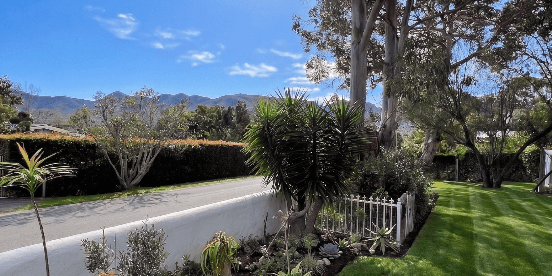 Image 5 of 6