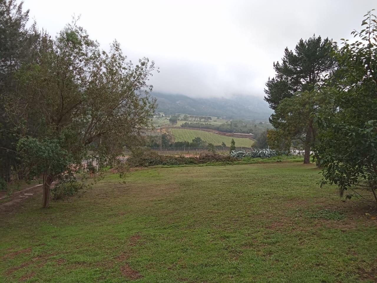 Image 30