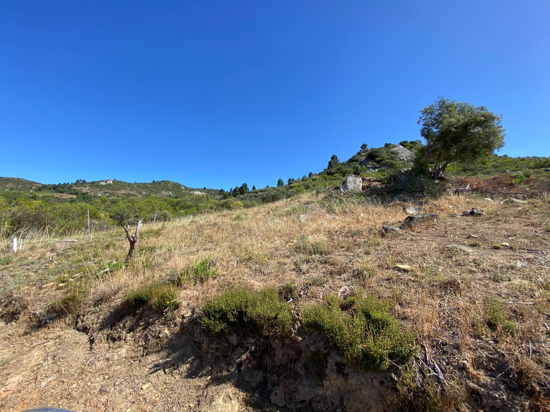 Image 15