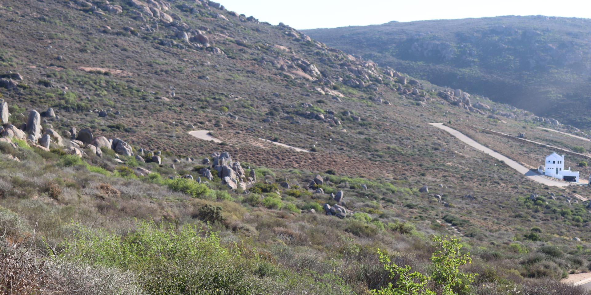 Image 4 of 6